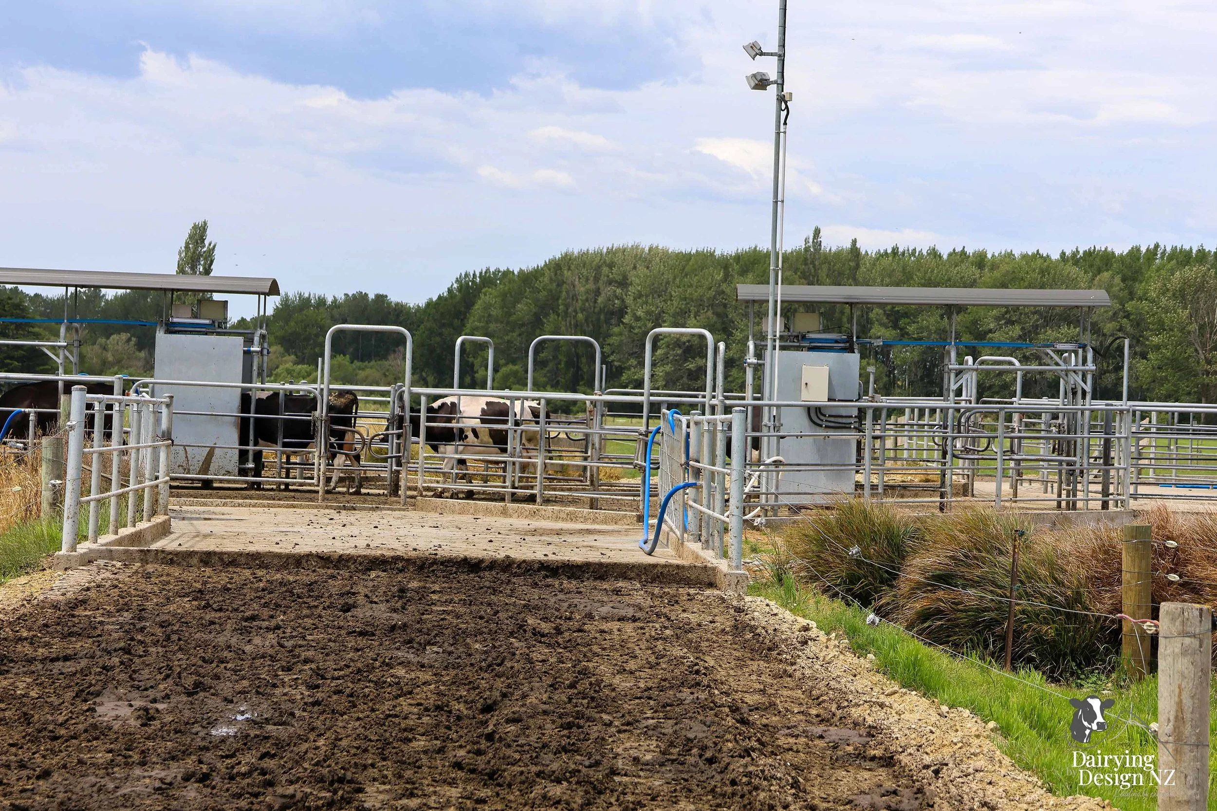  Canterbury robotic dairy shed development designed for efficient milking and cow flow Milking pant and effluent by Canterbury Farm Services, featuring Solar system by Sunergy Solar, Stock feed supplier is Pye Group, Earthworks by Oliver Brothers, pr