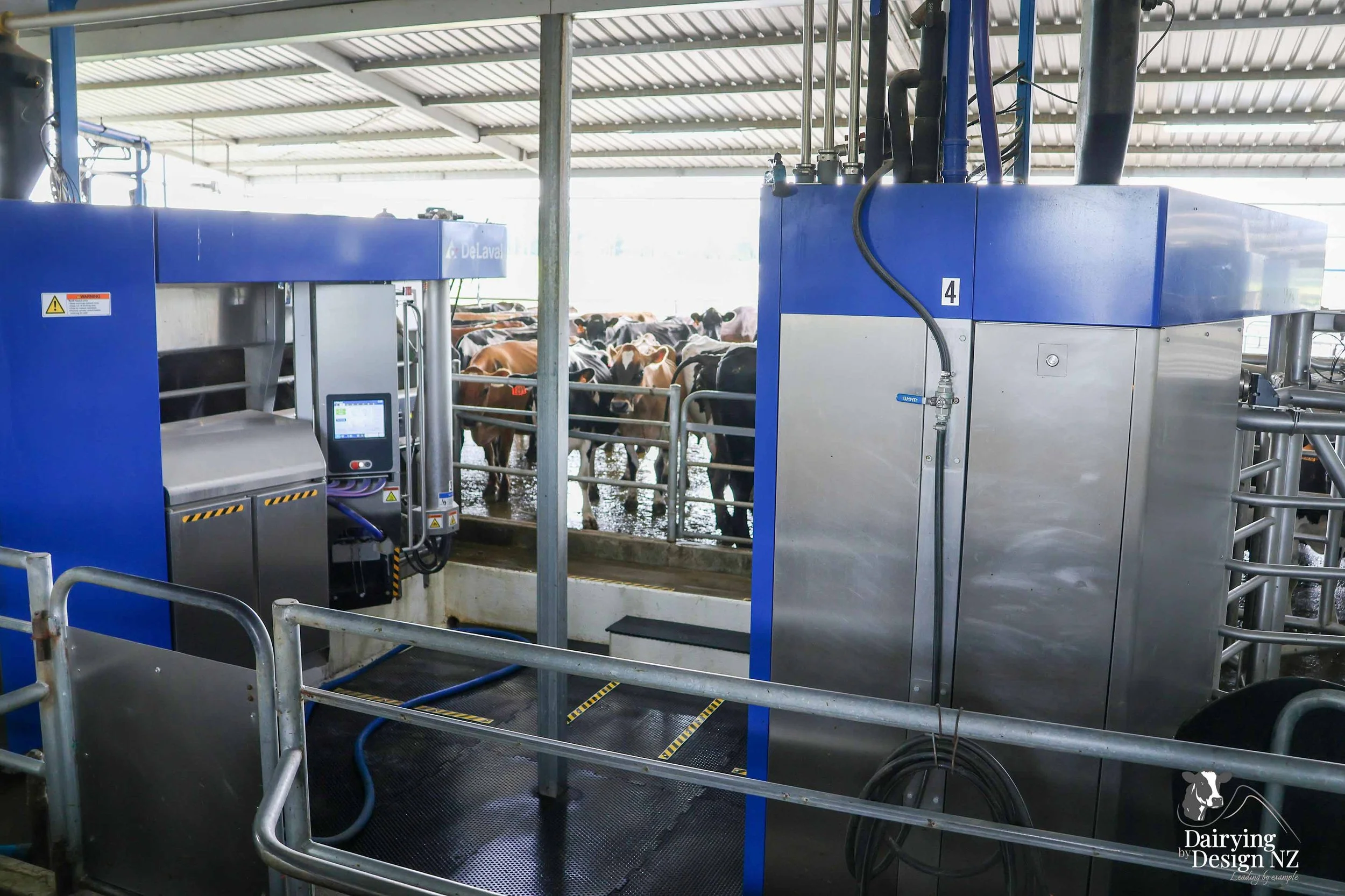  Canterbury robotic dairy shed development designed for efficient milking and cow flow Milking pant and effluent by Canterbury Farm Services, featuring Solar system by Sunergy Solar, Stock feed supplier is Pye Group, Earthworks by Oliver Brothers, pr