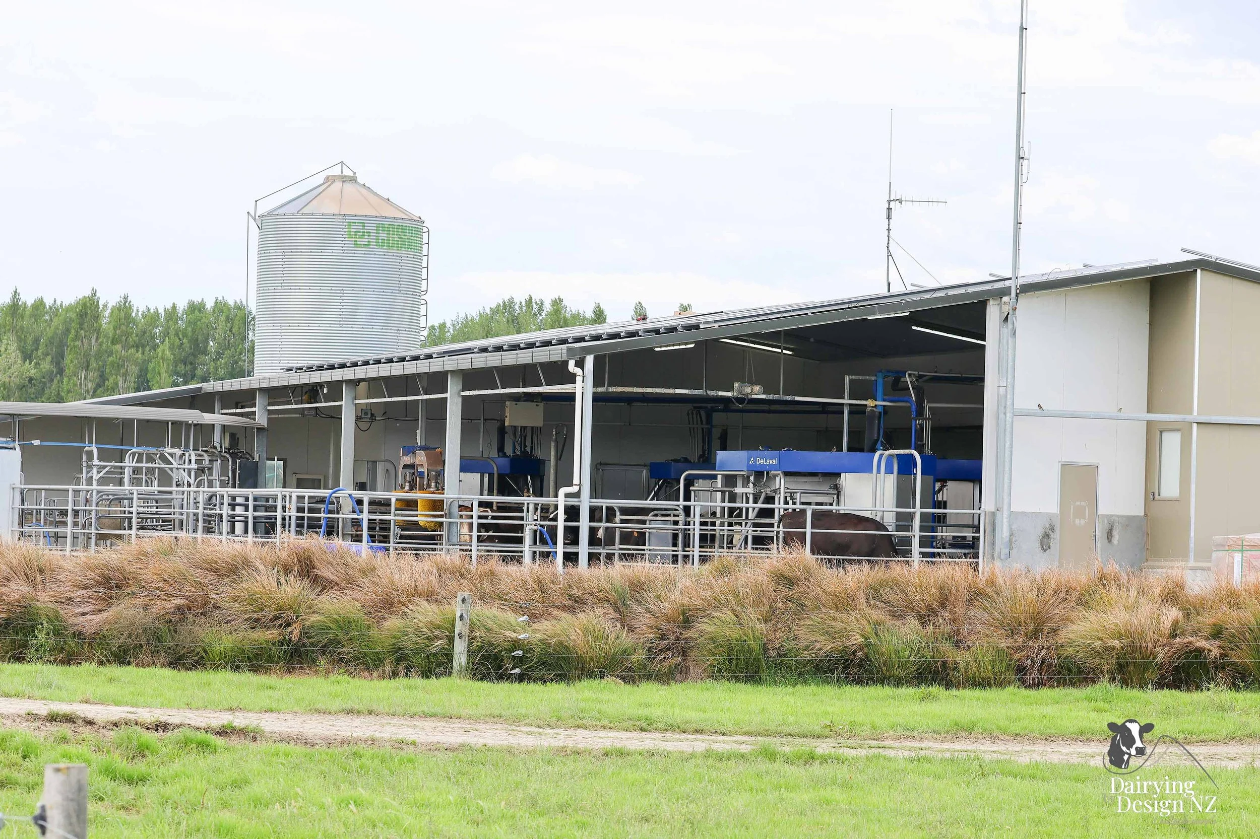  Canterbury robotic dairy shed development designed for efficient milking and cow flow Milking pant and effluent by Canterbury Farm Services, featuring Solar system by Sunergy Solar, Stock feed supplier is Pye Group, Earthworks by Oliver Brothers, pr