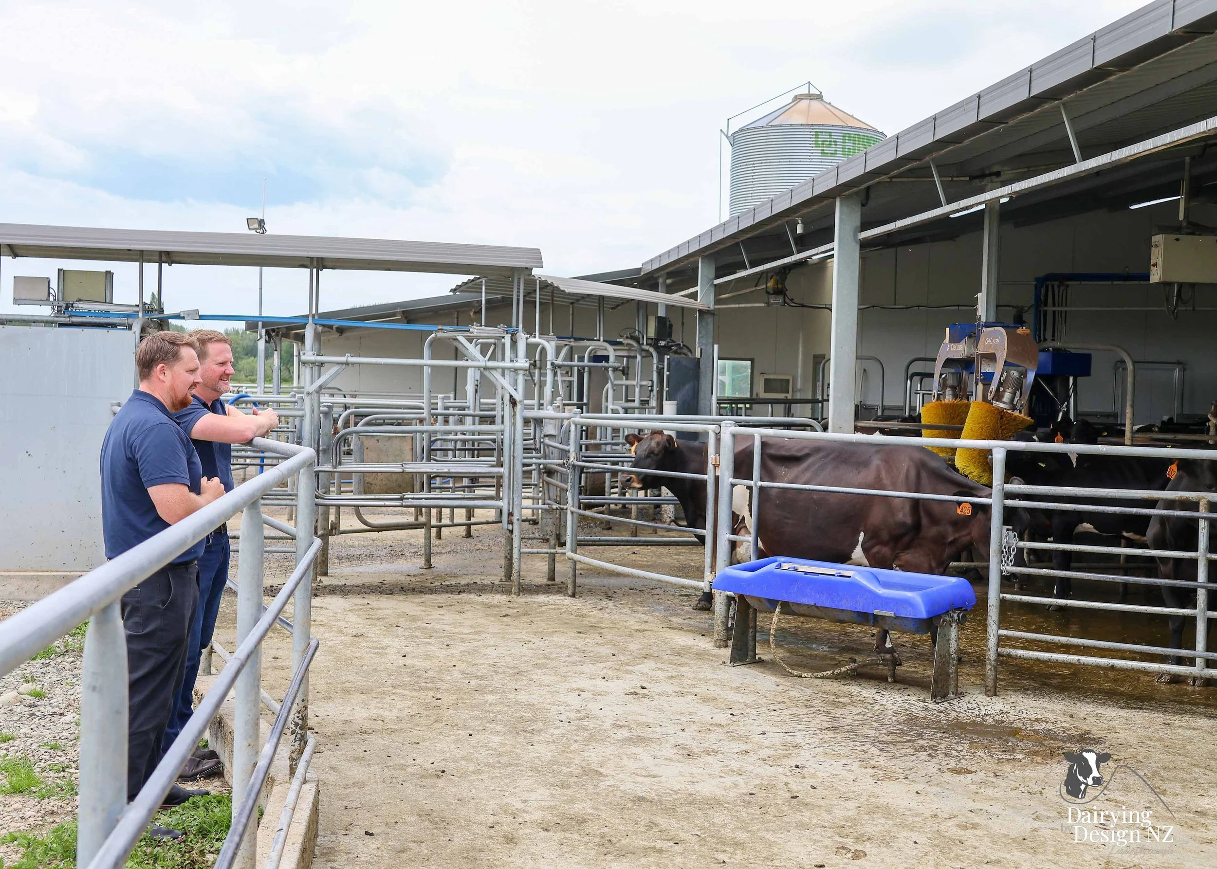 Canterbury robotic dairy shed development designed for efficient milking and cow flow Milking pant and effluent by Canterbury Farm Services, featuring Solar system by Sunergy Solar, Stock feed supplier is Pye Group, Earthworks by Oliver Brothers, pr