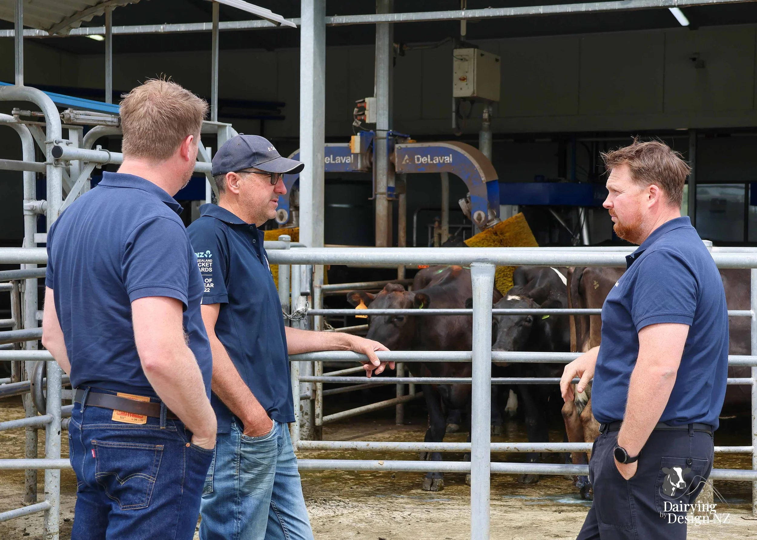  Canterbury robotic dairy shed development designed for efficient milking and cow flow Milking pant and effluent by Canterbury Farm Services, featuring Solar system by Sunergy Solar, Stock feed supplier is Pye Group, Earthworks by Oliver Brothers, pr