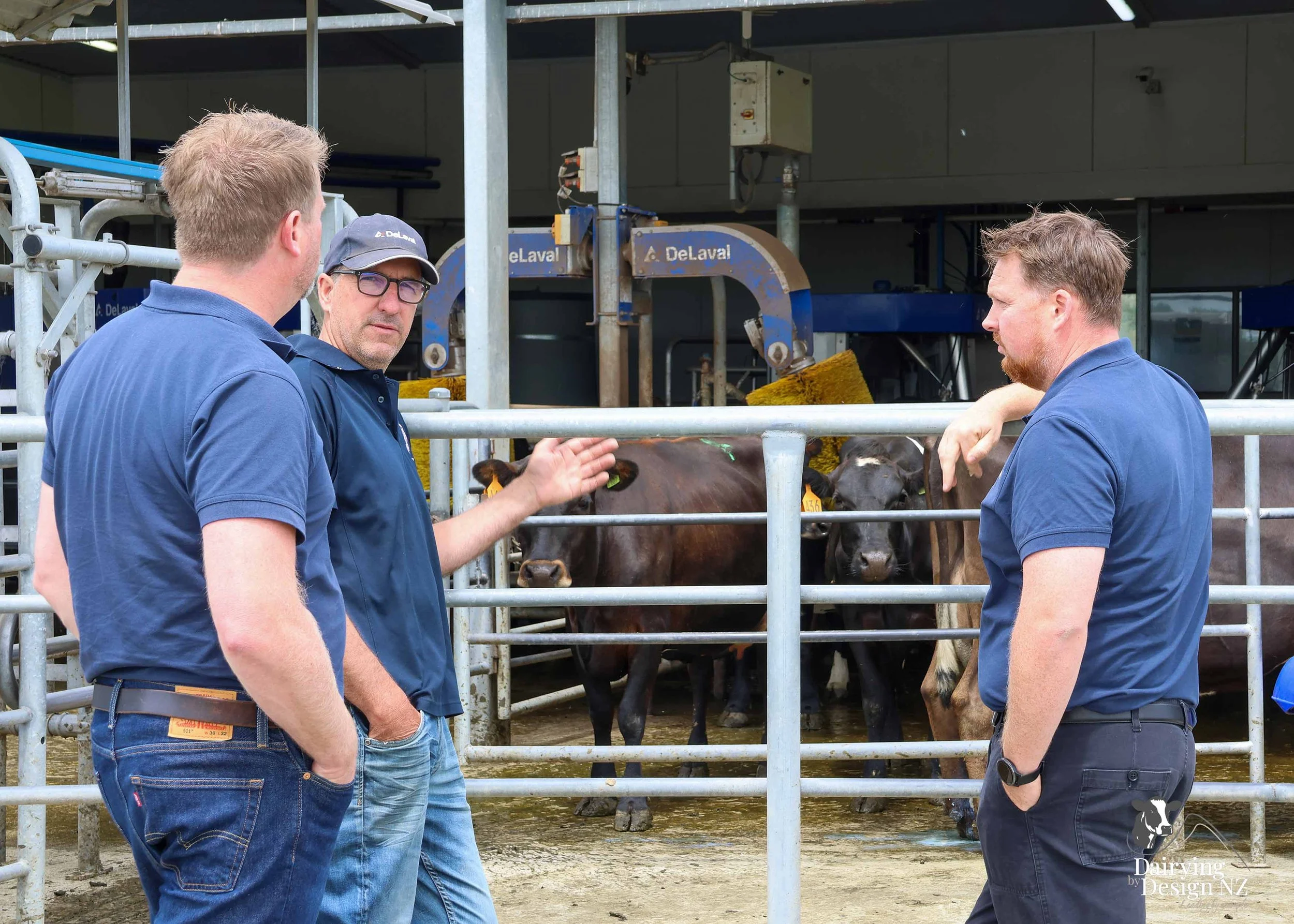  Canterbury robotic dairy shed development designed for efficient milking and cow flow Milking pant and effluent by Canterbury Farm Services, featuring Solar system by Sunergy Solar, Stock feed supplier is Pye Group, Earthworks by Oliver Brothers, pr