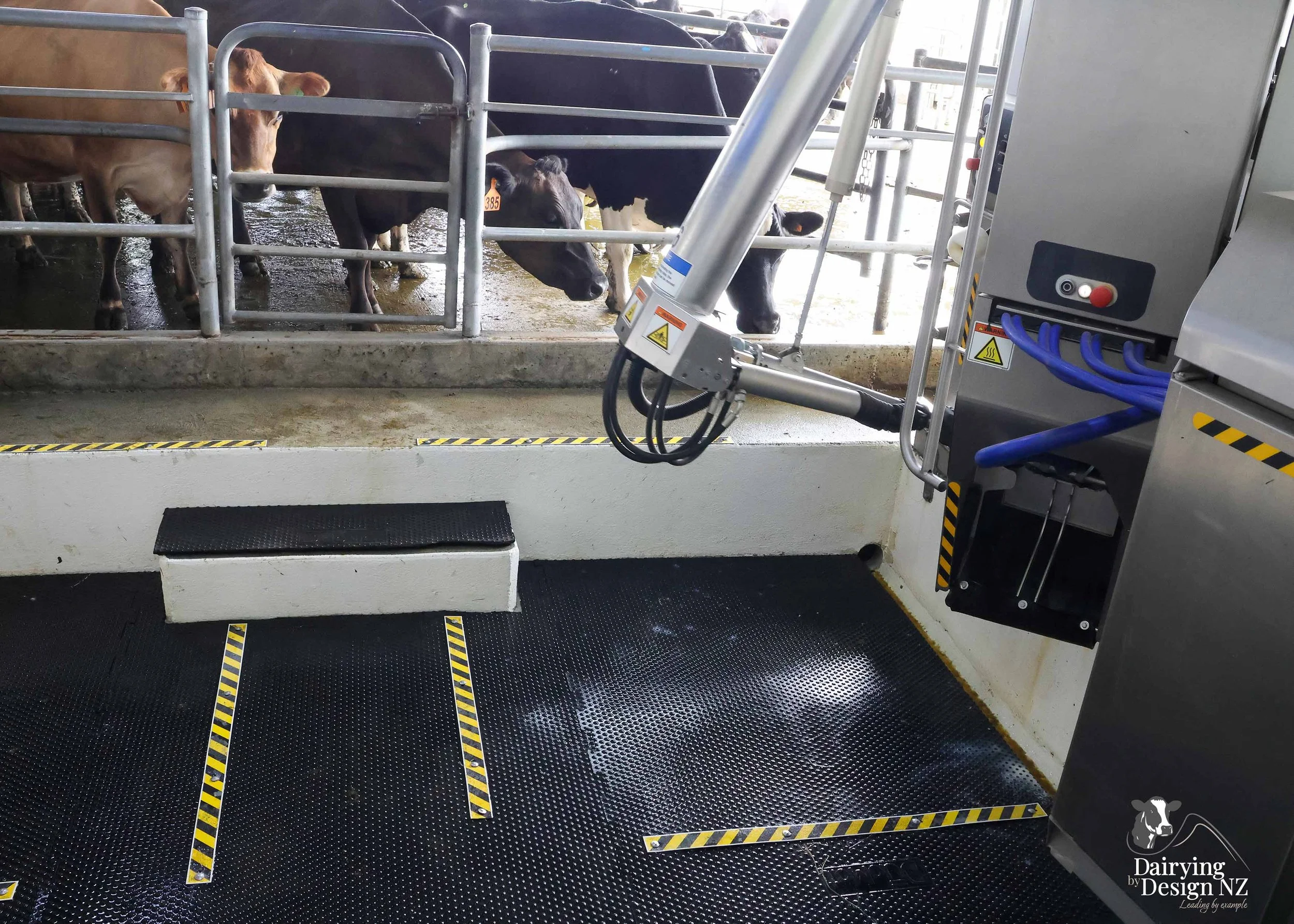  Canterbury robotic dairy shed development designed for efficient milking and cow flow Milking pant and effluent by Canterbury Farm Services, featuring Solar system by Sunergy Solar, Stock feed supplier is Pye Group, Earthworks by Oliver Brothers, pr