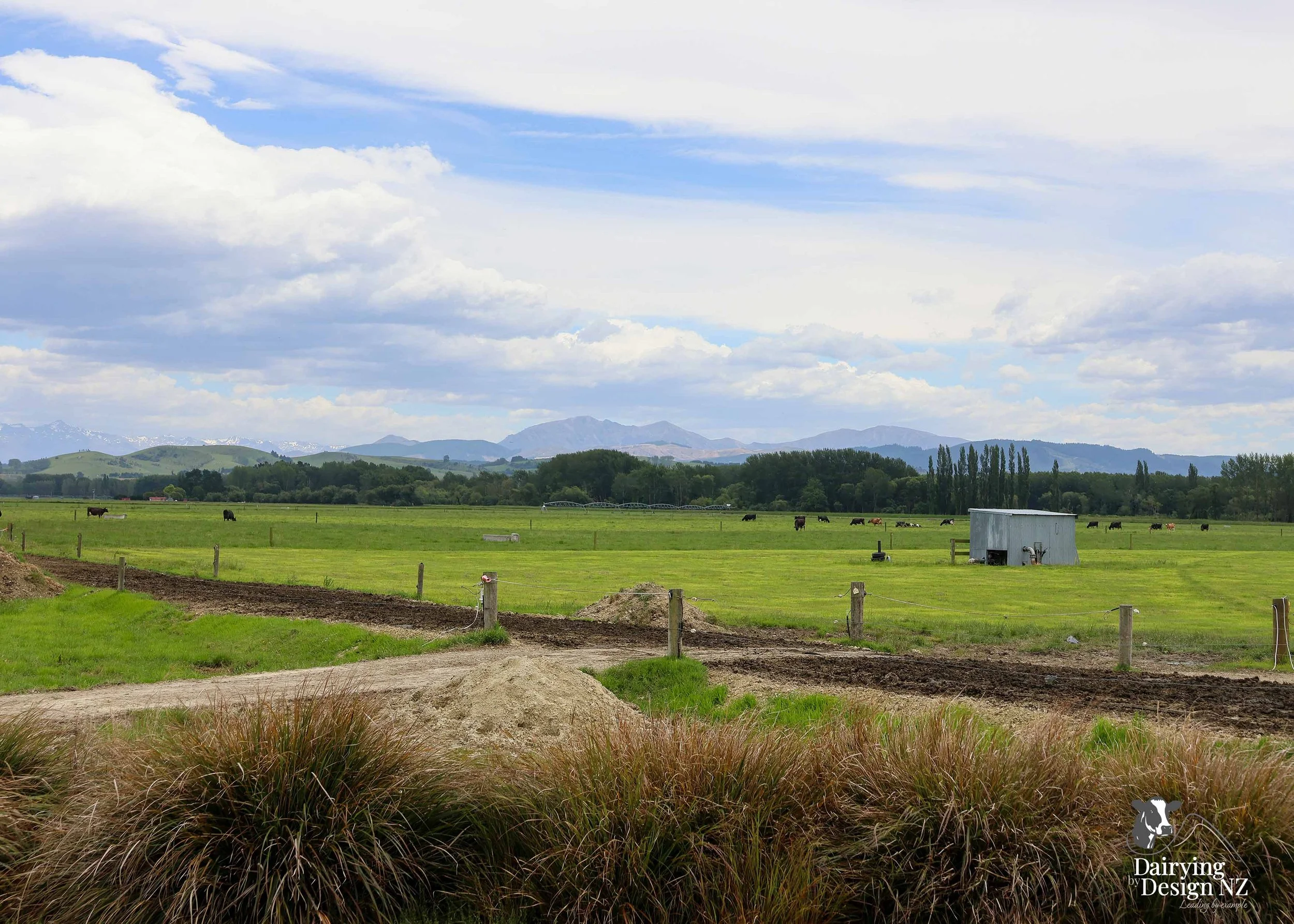  Canterbury robotic dairy shed development designed for efficient milking and cow flow Milking pant and effluent by Canterbury Farm Services, featuring Solar system by Sunergy Solar, Stock feed supplier is Pye Group, Earthworks by Oliver Brothers, pr