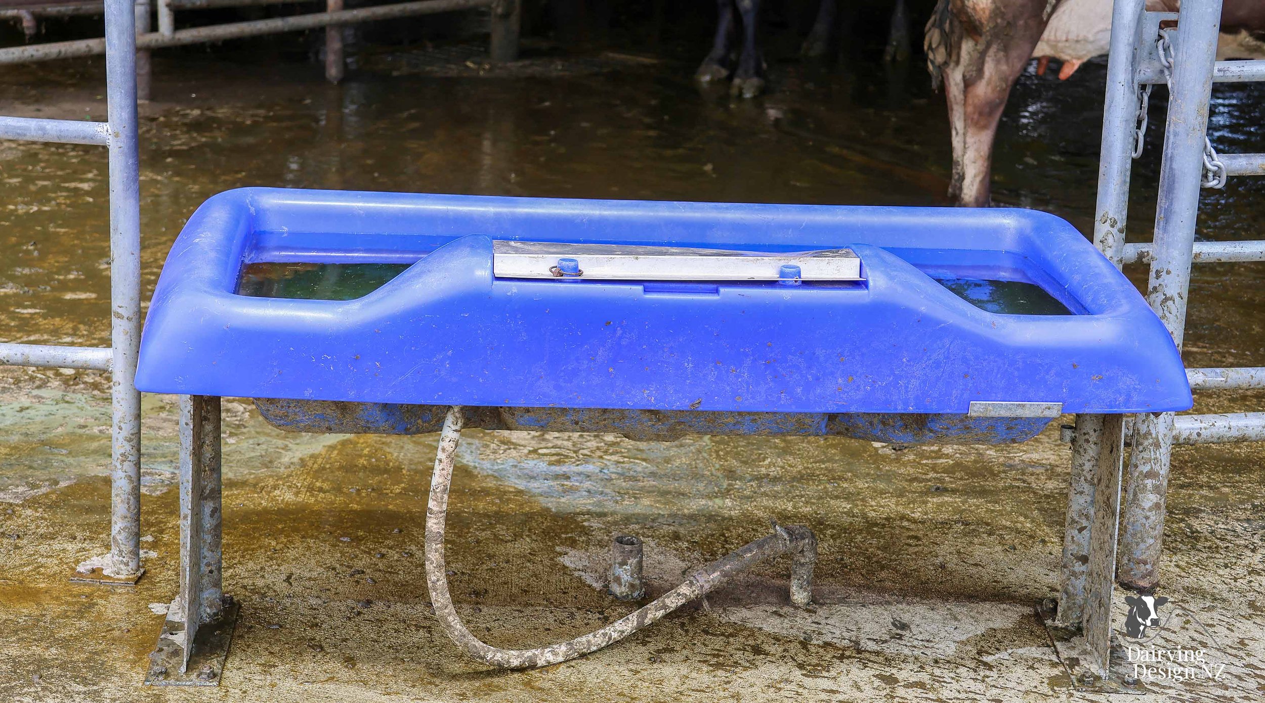  Canterbury robotic dairy shed development designed for efficient milking and cow flow Milking pant and effluent by Canterbury Farm Services, featuring Solar system by Sunergy Solar, Stock feed supplier is Pye Group, Earthworks by Oliver Brothers, pr