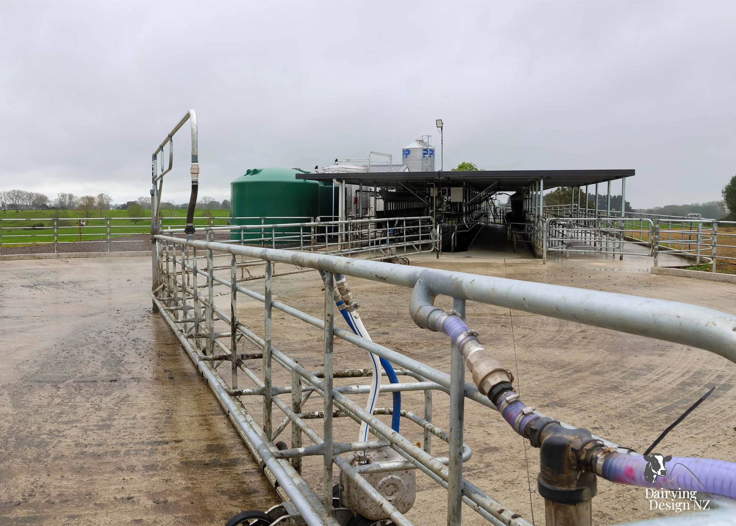  Waikato herringbone dairy shed development designed for efficient milking and cow flow built by WD Davenport Ltd, yard work by Rural Engineering, Milking plant install by Morley Engineering, Electrical work by King Electrical, Effluent by Reid &amp;