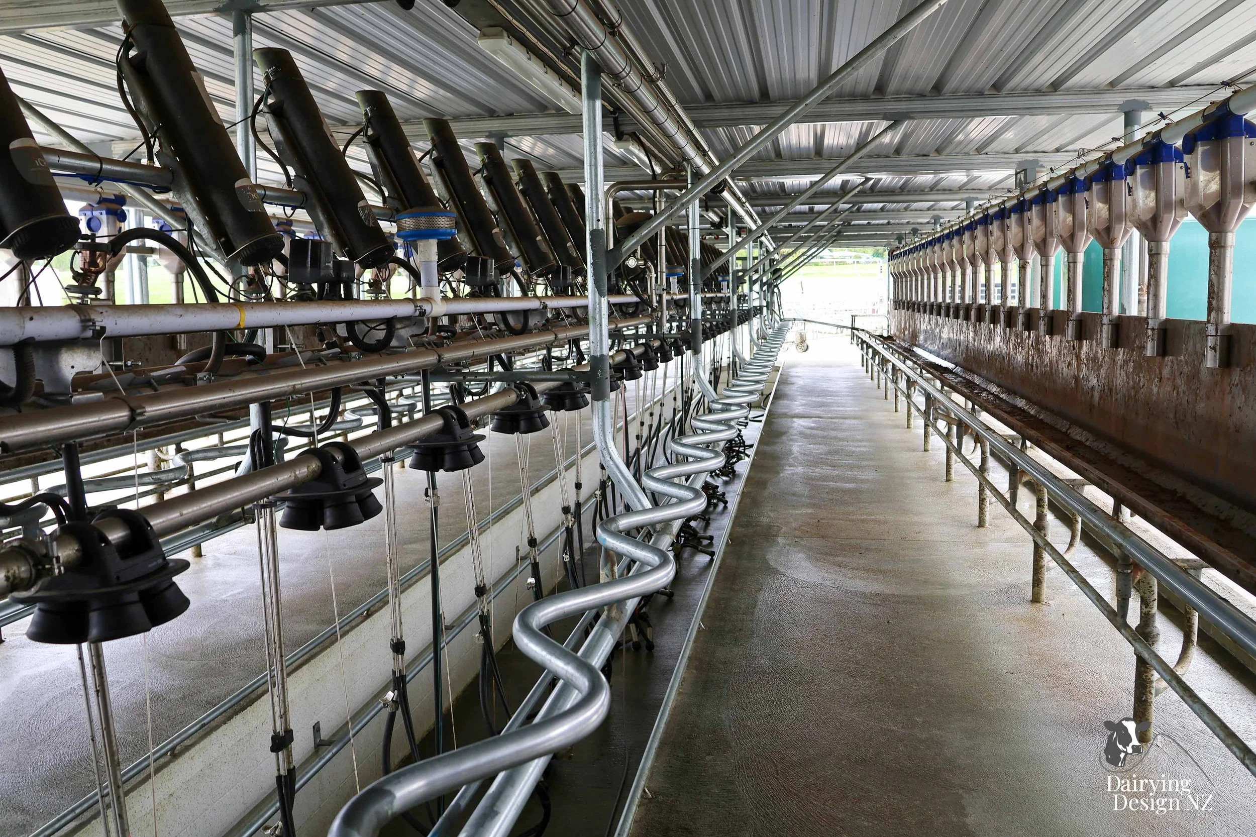  Waikato herringbone dairy shed development designed for efficient milking and cow flow built by WD Davenport Ltd, yard work by Rural Engineering, Milking plant install by Morley Engineering, Electrical work by King Electrical, Effluent by Reid &amp;