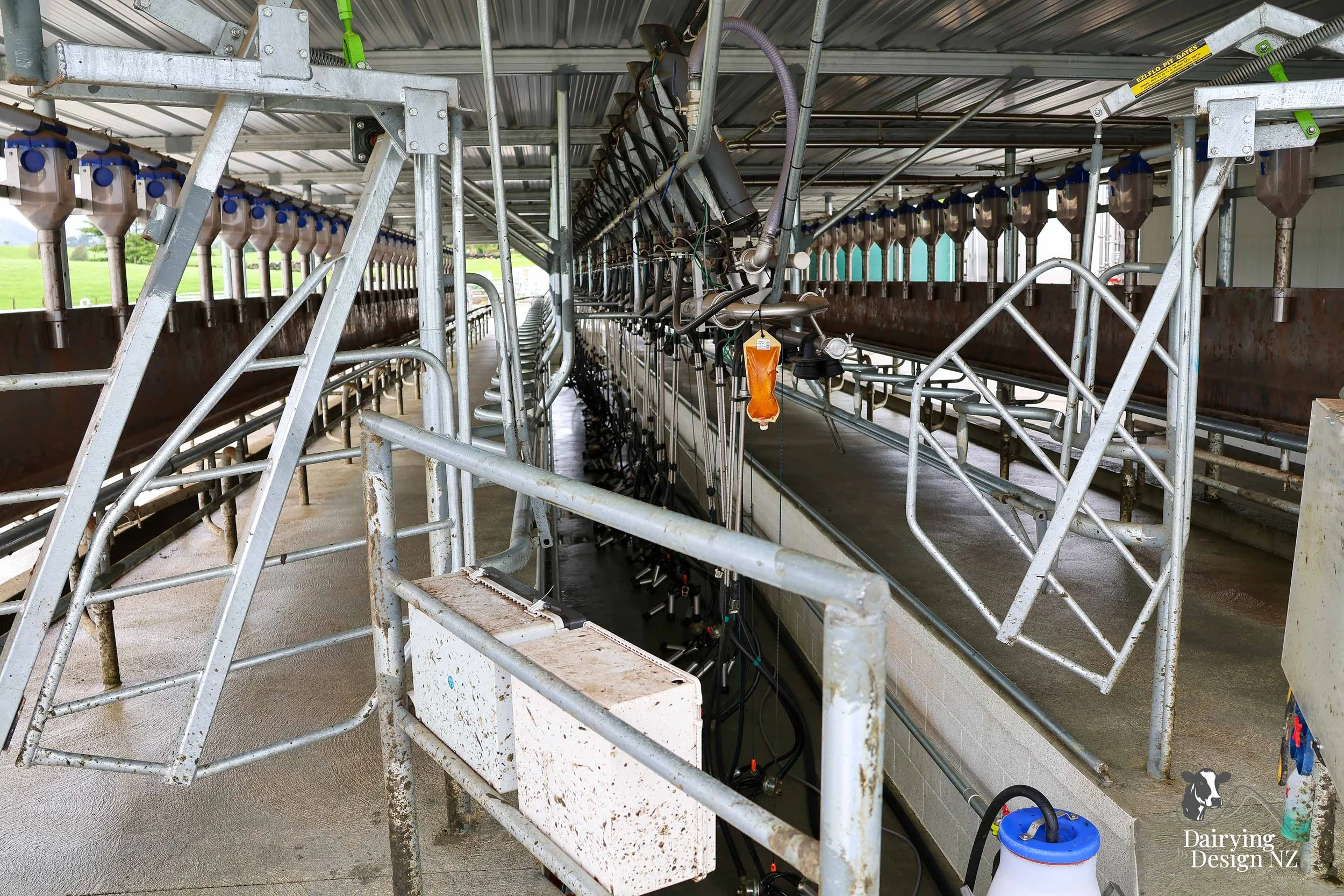 ROSE_DairyInside2.jpg