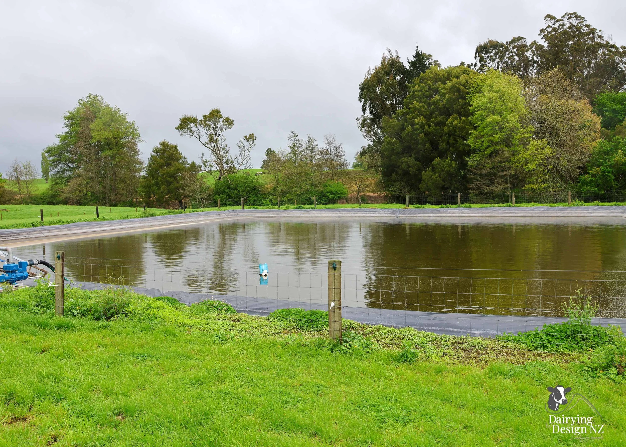  Waikato herringbone dairy shed development designed for efficient milking and cow flow built by WD Davenport Ltd, yard work by Rural Engineering, Milking plant install by Morley Engineering, Electrical work by King Electrical, Effluent by Reid &amp;