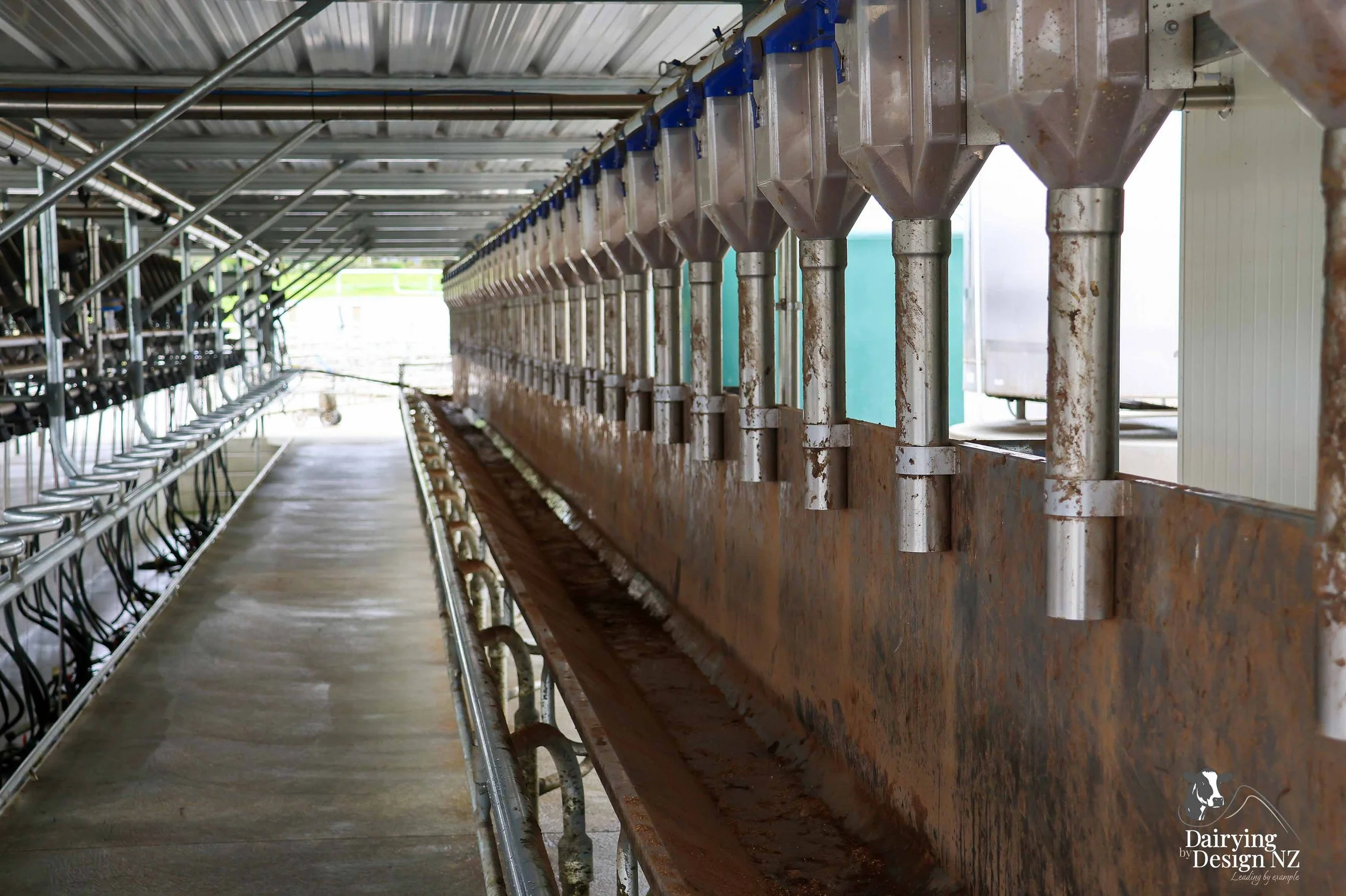 Precision feeding technologies