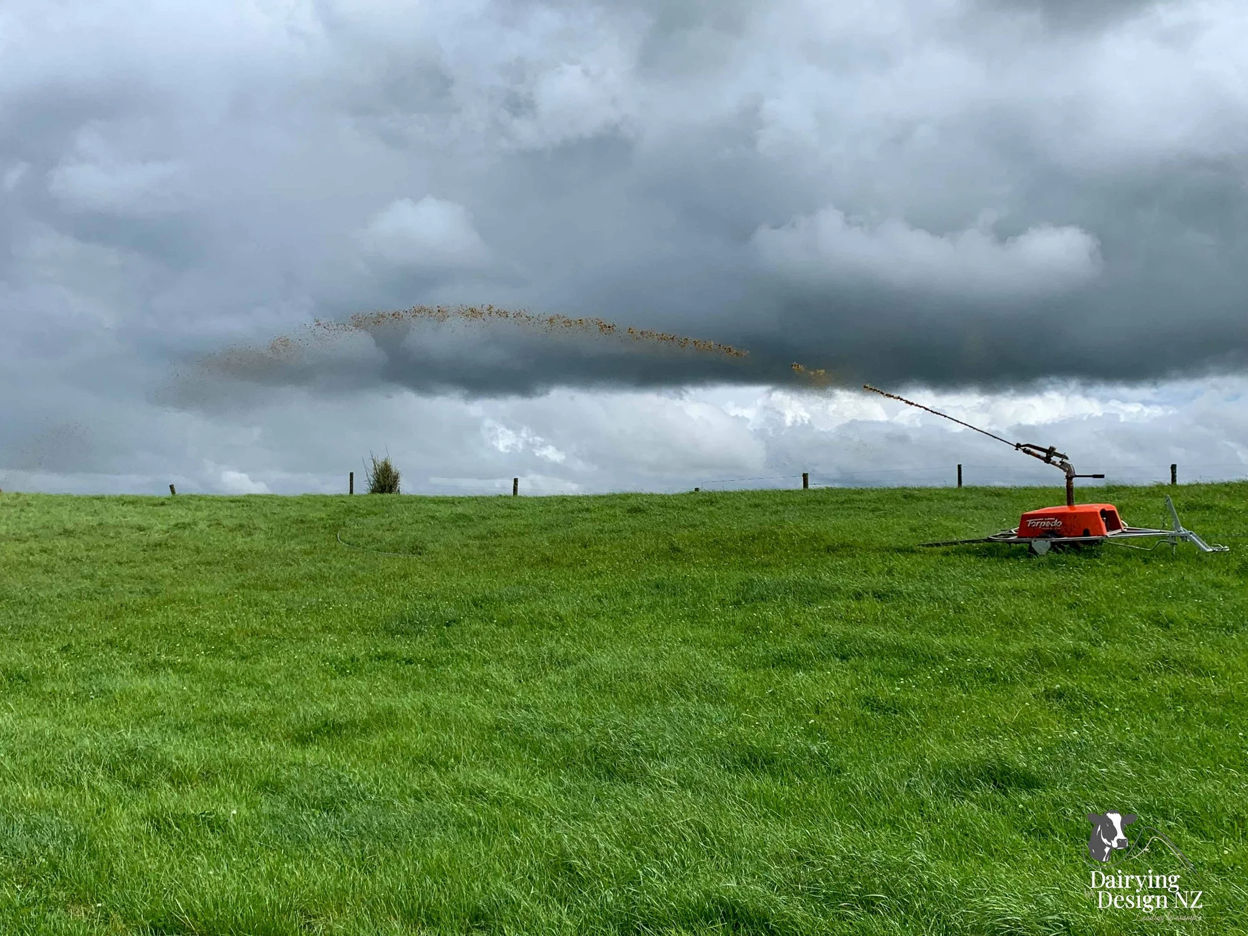  Waikato herringbone dairy shed development designed for efficient milking and cow flow built by WD Davenport Ltd, yard work by Rural Engineering, Milking plant install by Morley Engineering, Electrical work by King Electrical, Effluent by Reid &amp;