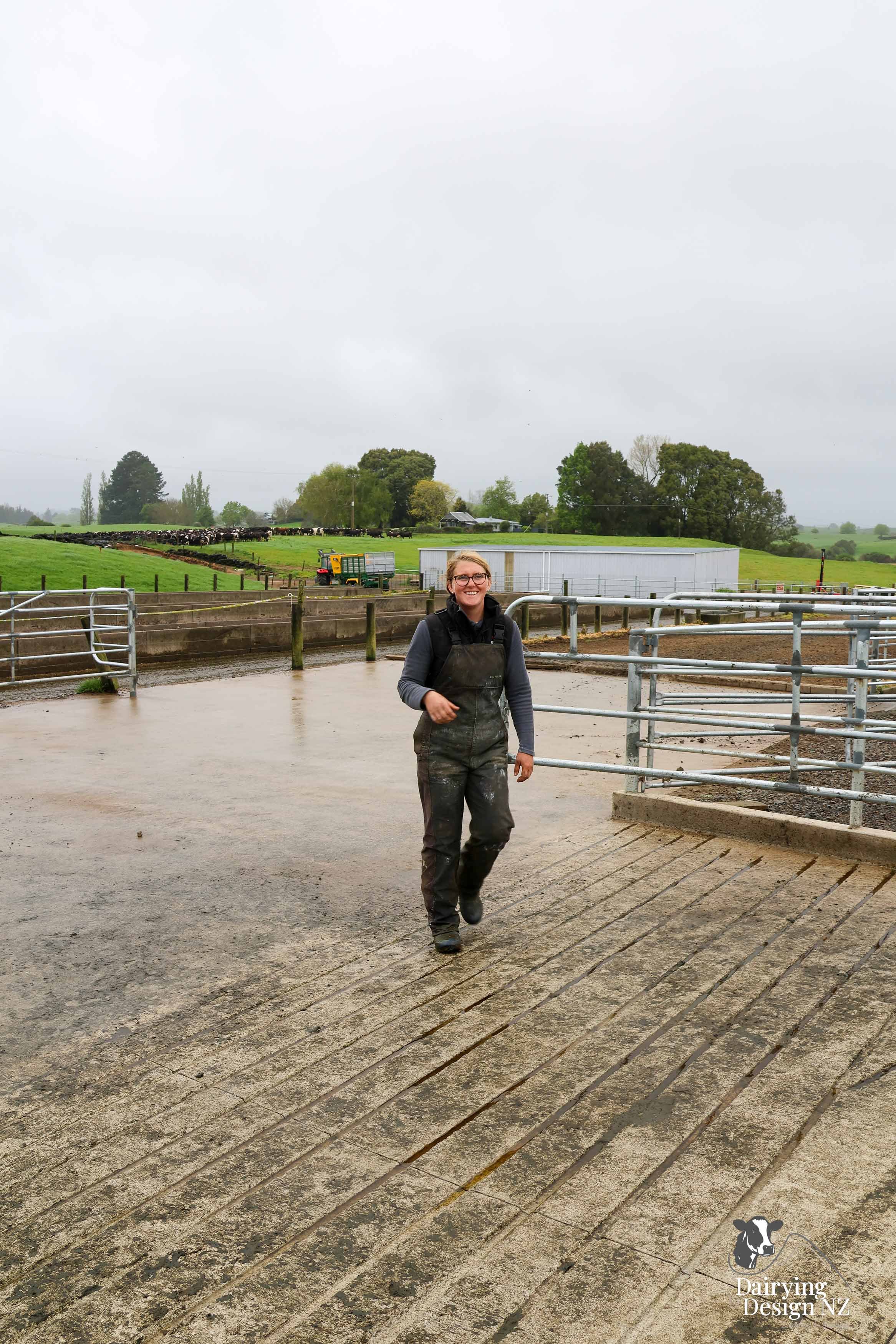  Waikato herringbone dairy shed development designed for efficient milking and cow flow built by WD Davenport Ltd, yard work by Rural Engineering, Milking plant install by Morley Engineering, Electrical work by King Electrical, Effluent by Reid &amp;