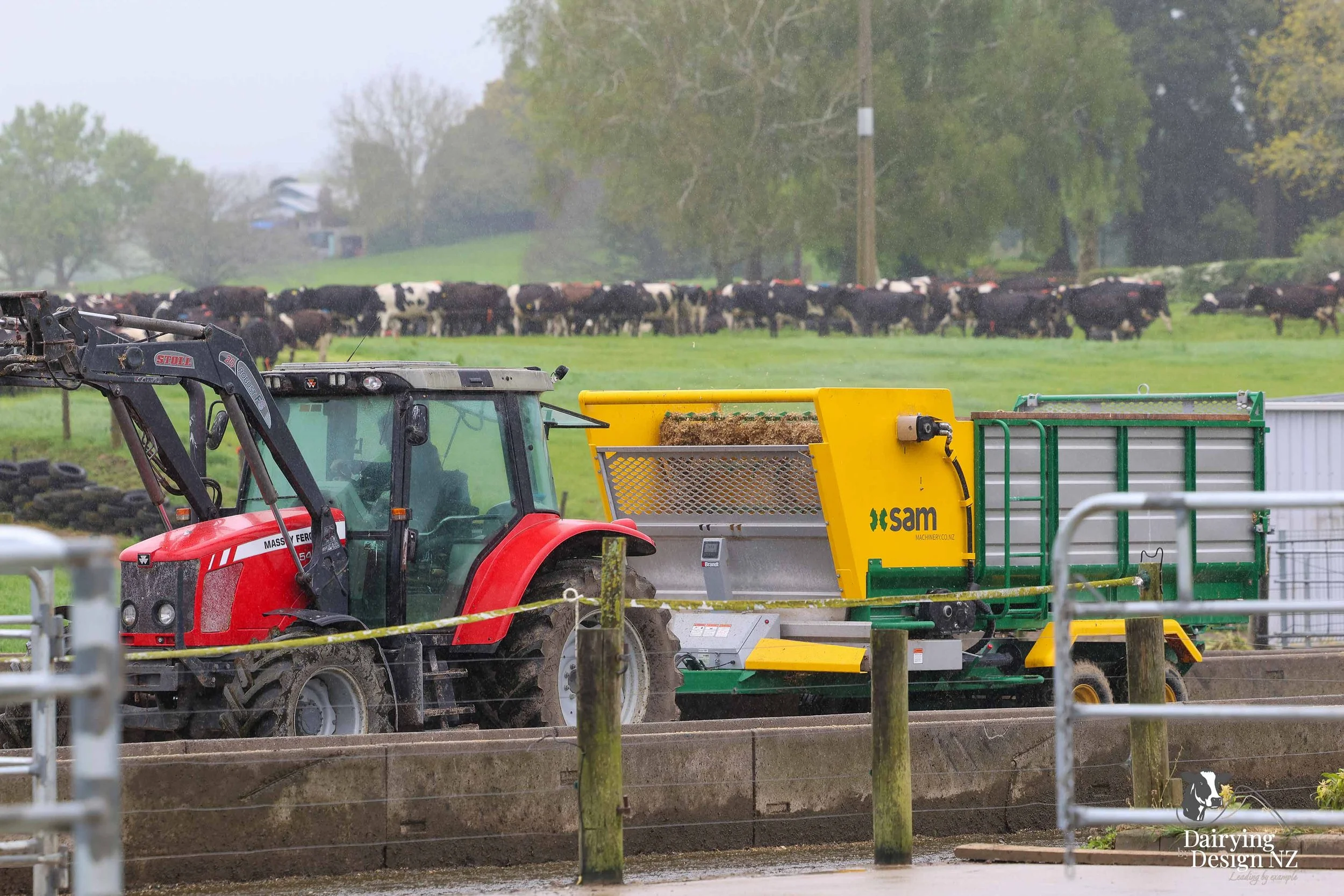  Waikato herringbone dairy shed development designed for efficient milking and cow flow built by WD Davenport Ltd, yard work by Rural Engineering, Milking plant install by Morley Engineering, Electrical work by King Electrical, Effluent by Reid &amp;
