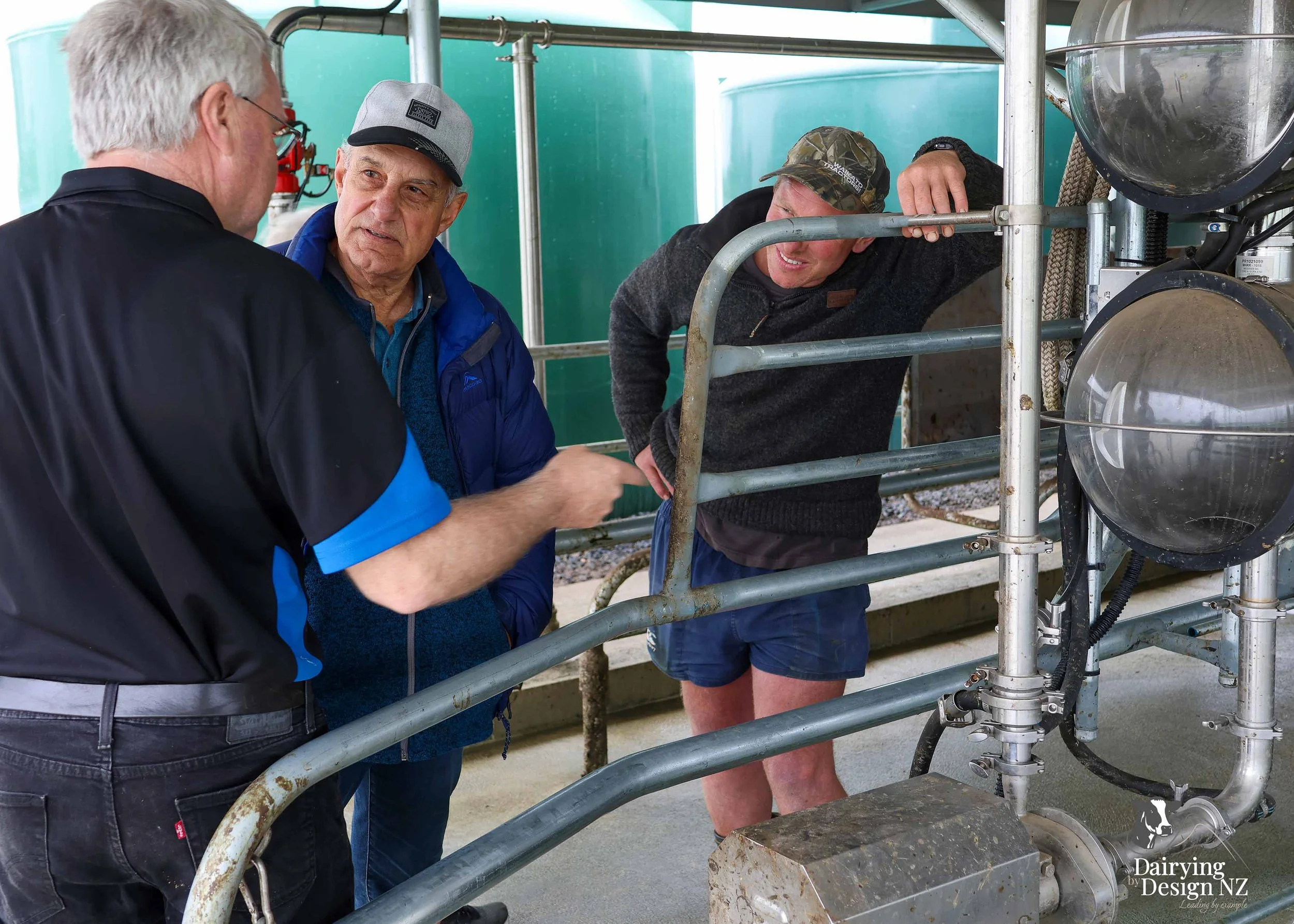  Waikato herringbone dairy shed development designed for efficient milking and cow flow built by WD Davenport Ltd, yard work by Rural Engineering, Milking plant install by Morley Engineering, Electrical work by King Electrical, Effluent by Reid &amp;