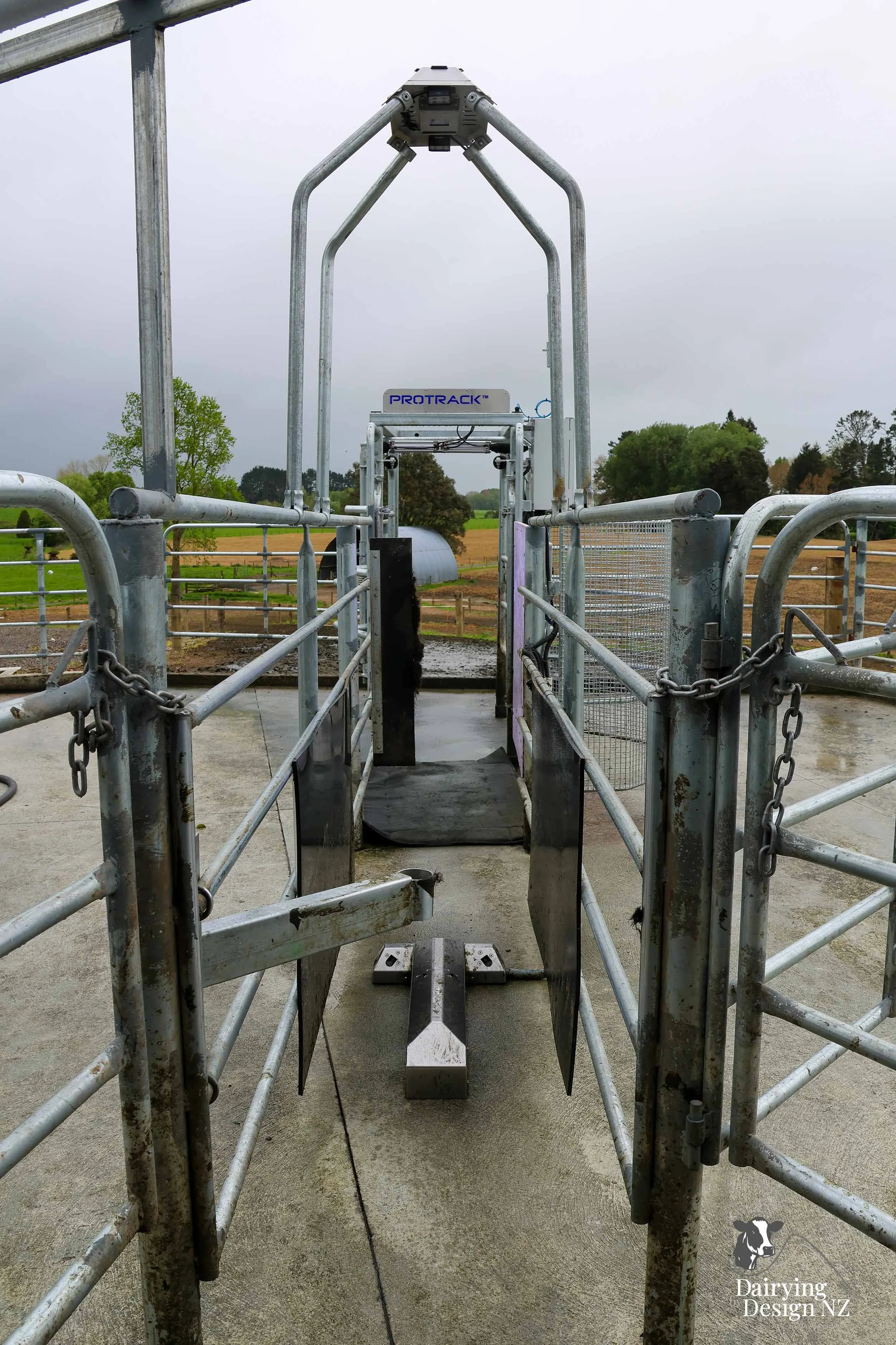  Waikato herringbone dairy shed development designed for efficient milking and cow flow built by WD Davenport Ltd, yard work by Rural Engineering, Milking plant install by Morley Engineering, Electrical work by King Electrical, Effluent by Reid &amp;