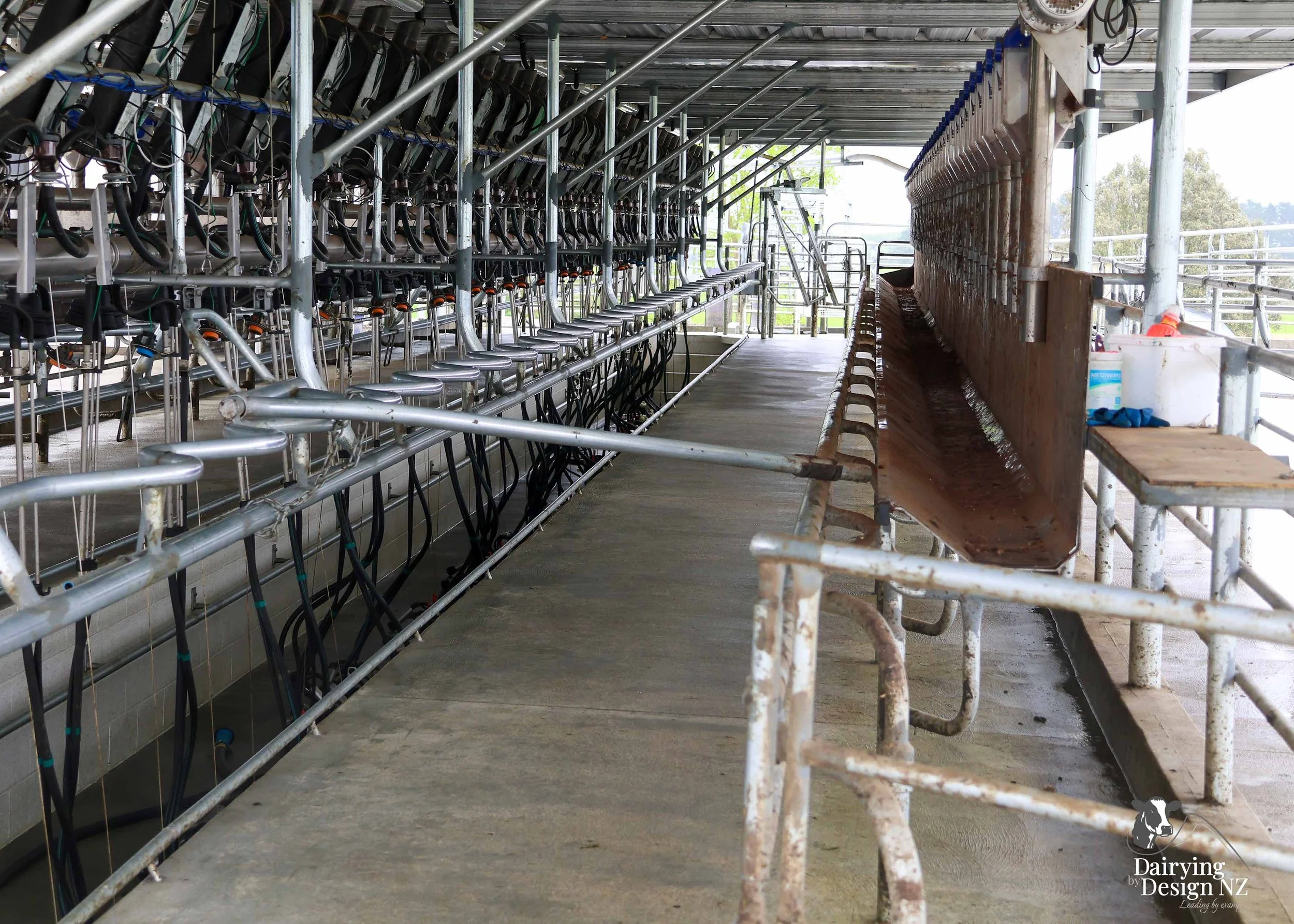  Waikato herringbone dairy shed development designed for efficient milking and cow flow built by WD Davenport Ltd, yard work by Rural Engineering, Milking plant install by Morley Engineering, Electrical work by King Electrical, Effluent by Reid &amp;
