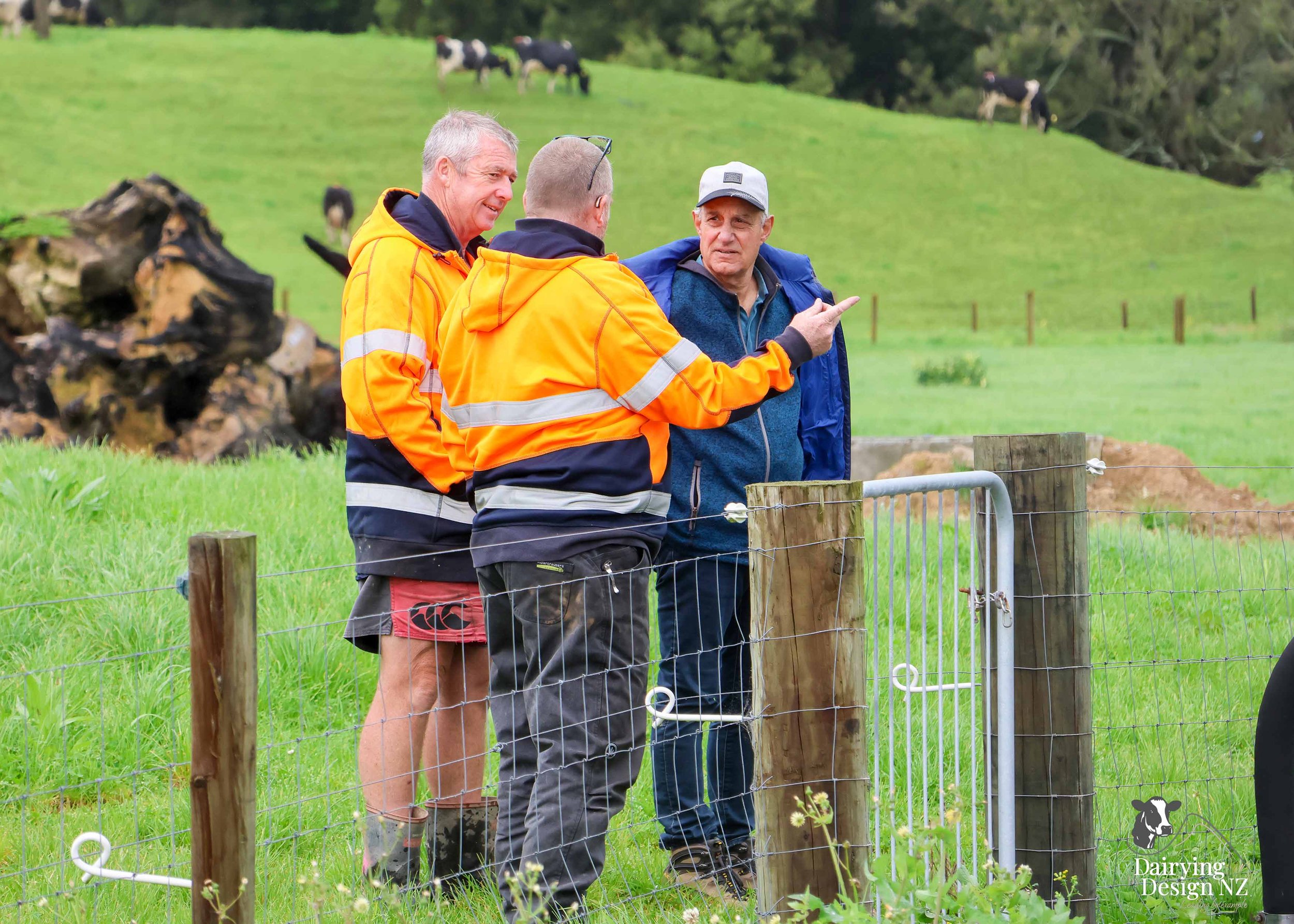  Waikato herringbone dairy shed development designed for efficient milking and cow flow built by WD Davenport Ltd, yard work by Rural Engineering, Milking plant install by Morley Engineering, Electrical work by King Electrical, Effluent by Reid &amp;