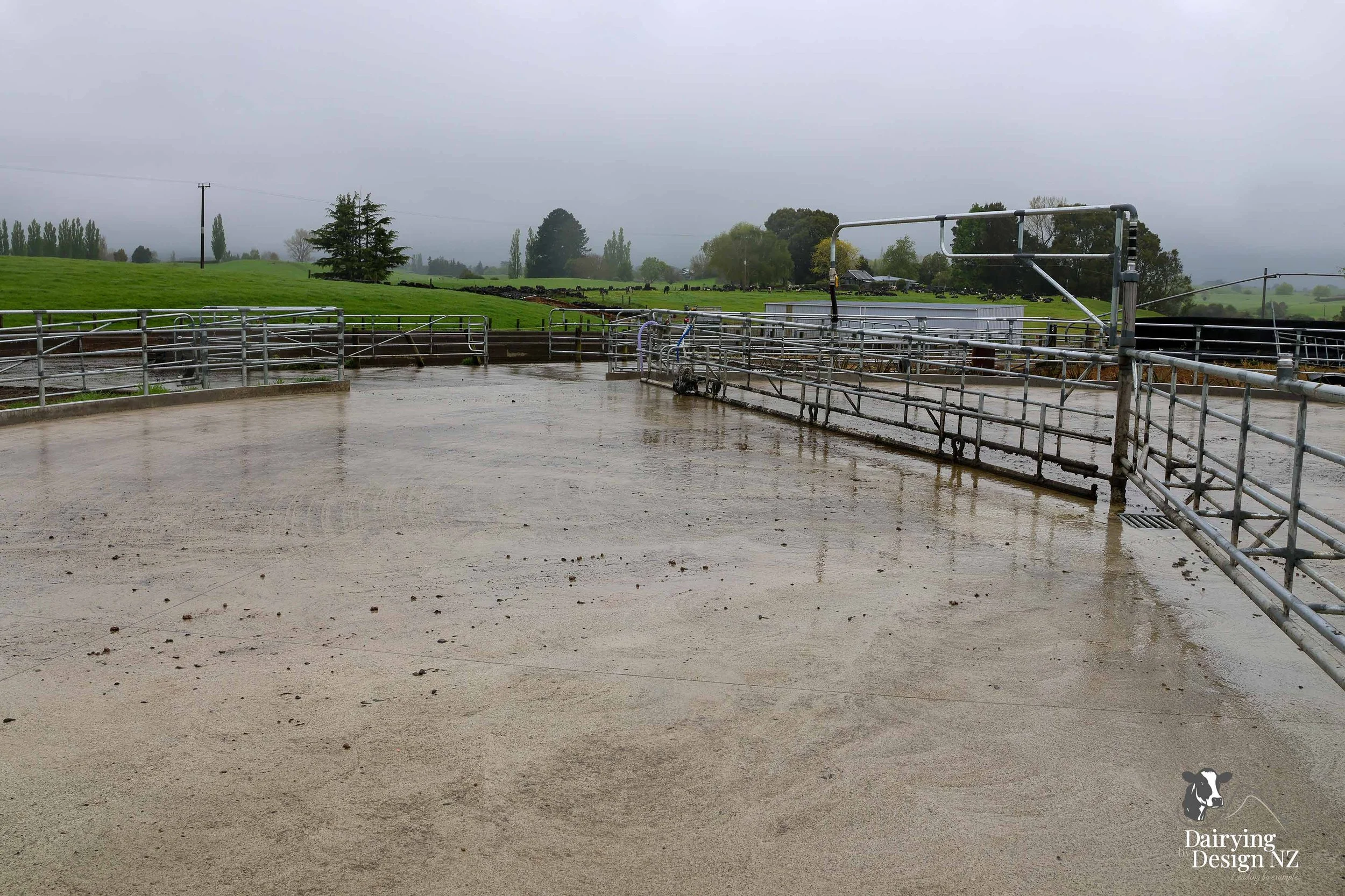  Waikato herringbone dairy shed development designed for efficient milking and cow flow built by WD Davenport Ltd, yard work by Rural Engineering, Milking plant install by Morley Engineering, Electrical work by King Electrical, Effluent by Reid &amp;