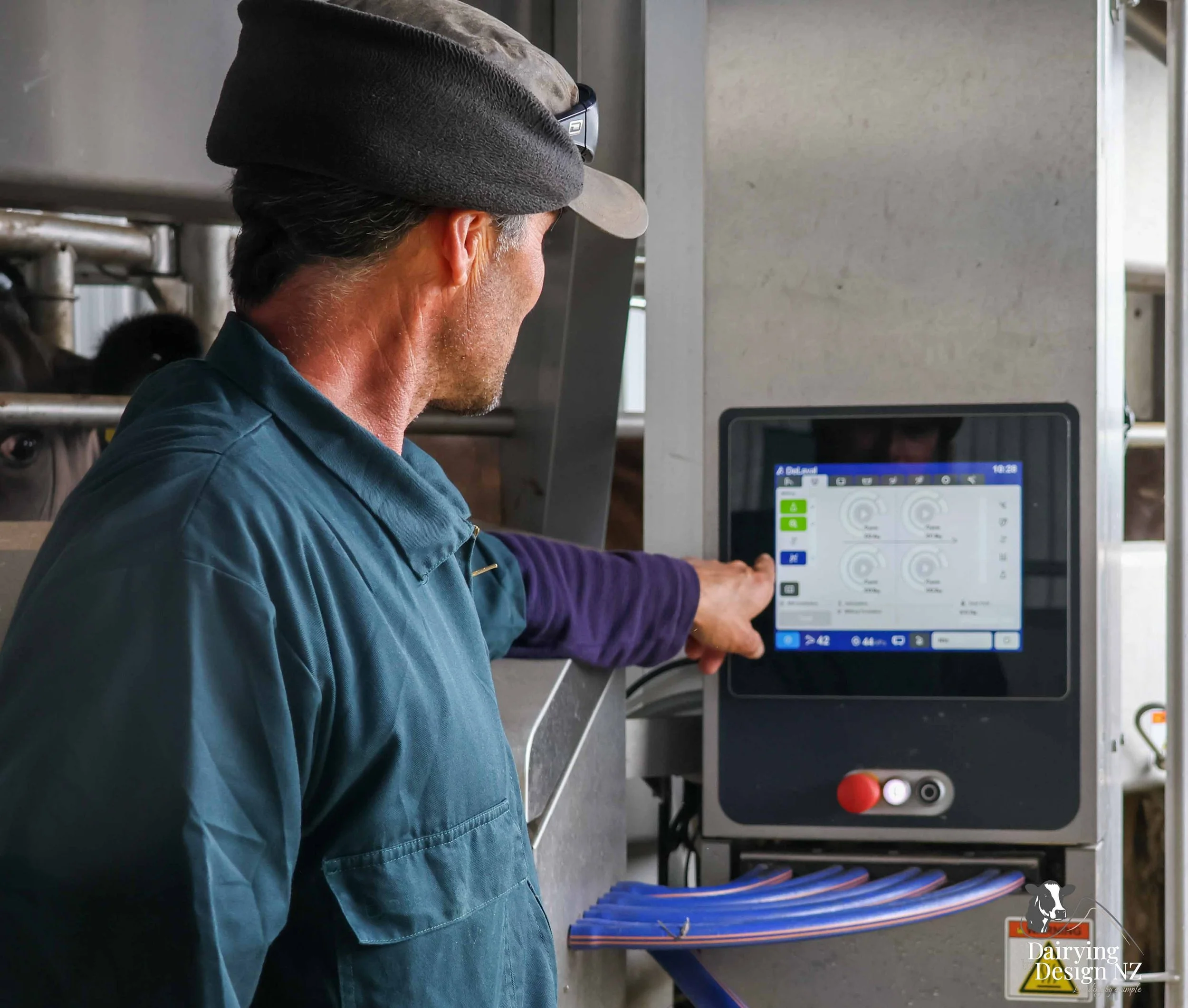  Taranaki robotic rotary dairy shed development designed for efficient milking and cow flow built by Bruce Clifton Builder, Earthworks by Hilltop Contracting, Robotics by Automation Services, project for Peter Arnold. 