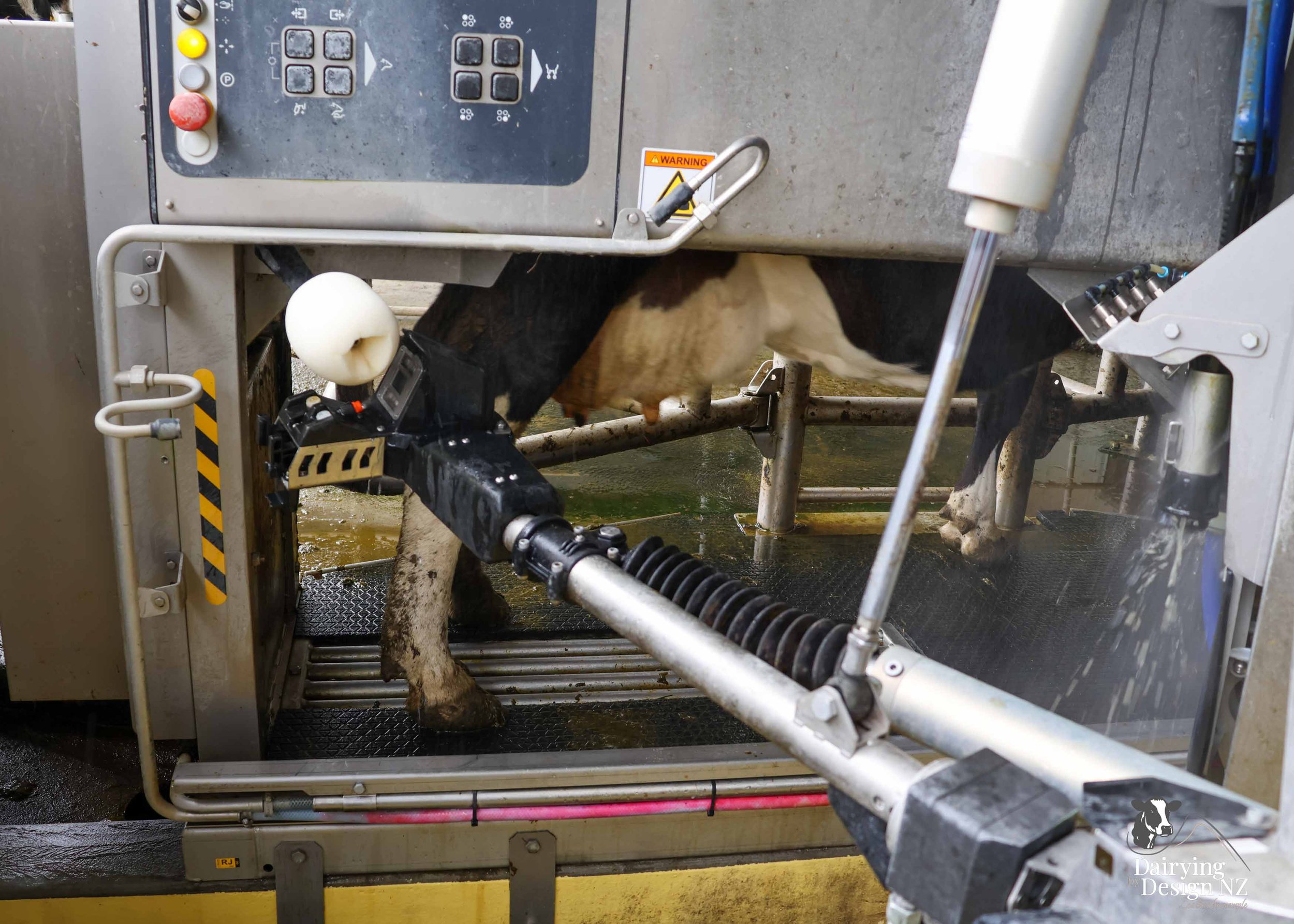  Taranaki robotic rotary dairy shed development designed for efficient milking and cow flow built by Bruce Clifton Builder, Earthworks by Hilltop Contracting, Robotics by Automation Services, project for Peter Arnold. 