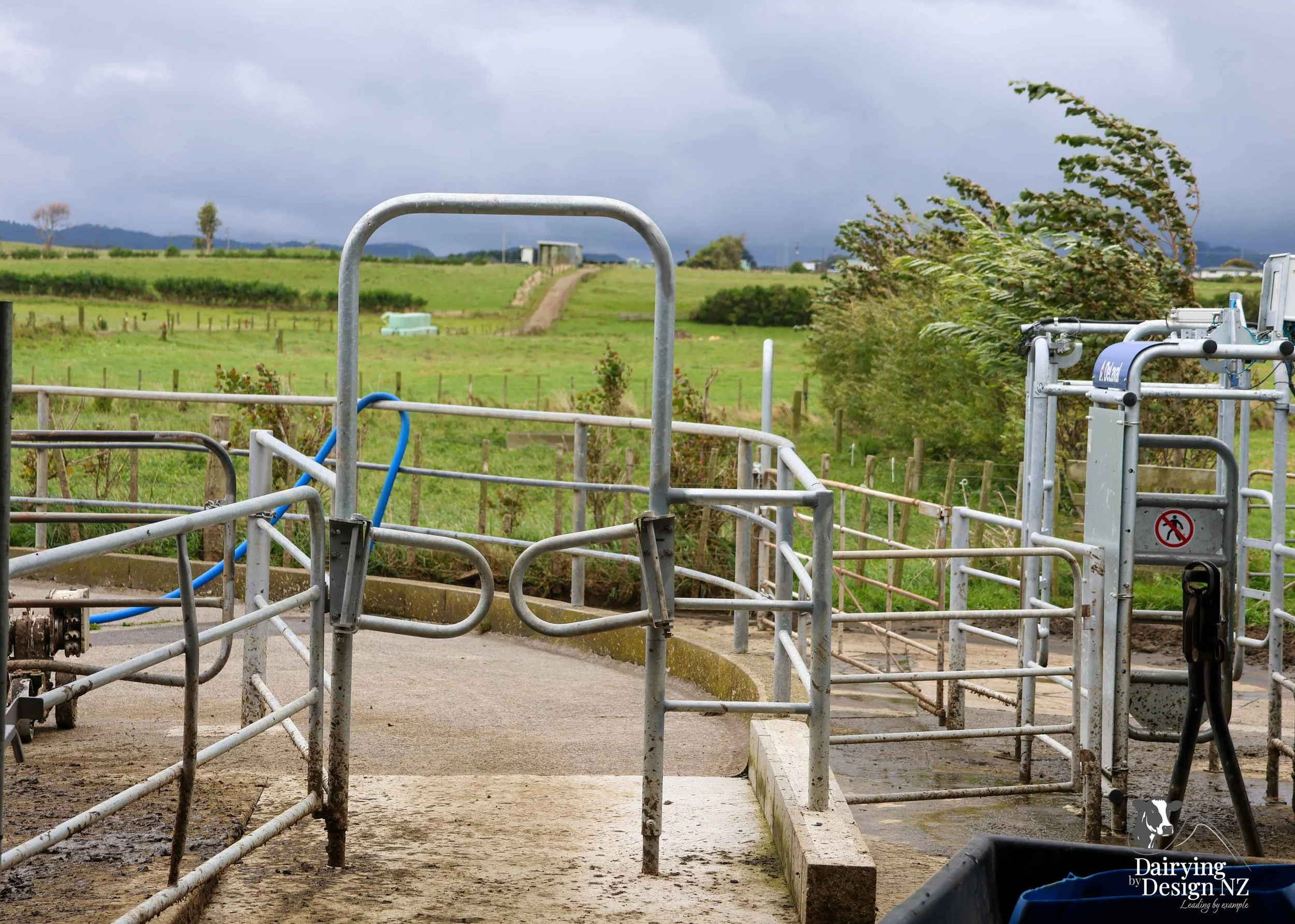  Taranaki robotic rotary dairy shed development designed for efficient milking and cow flow built by Bruce Clifton Builder, Earthworks by Hilltop Contracting, Robotics by Automation Services, project for Peter Arnold. 