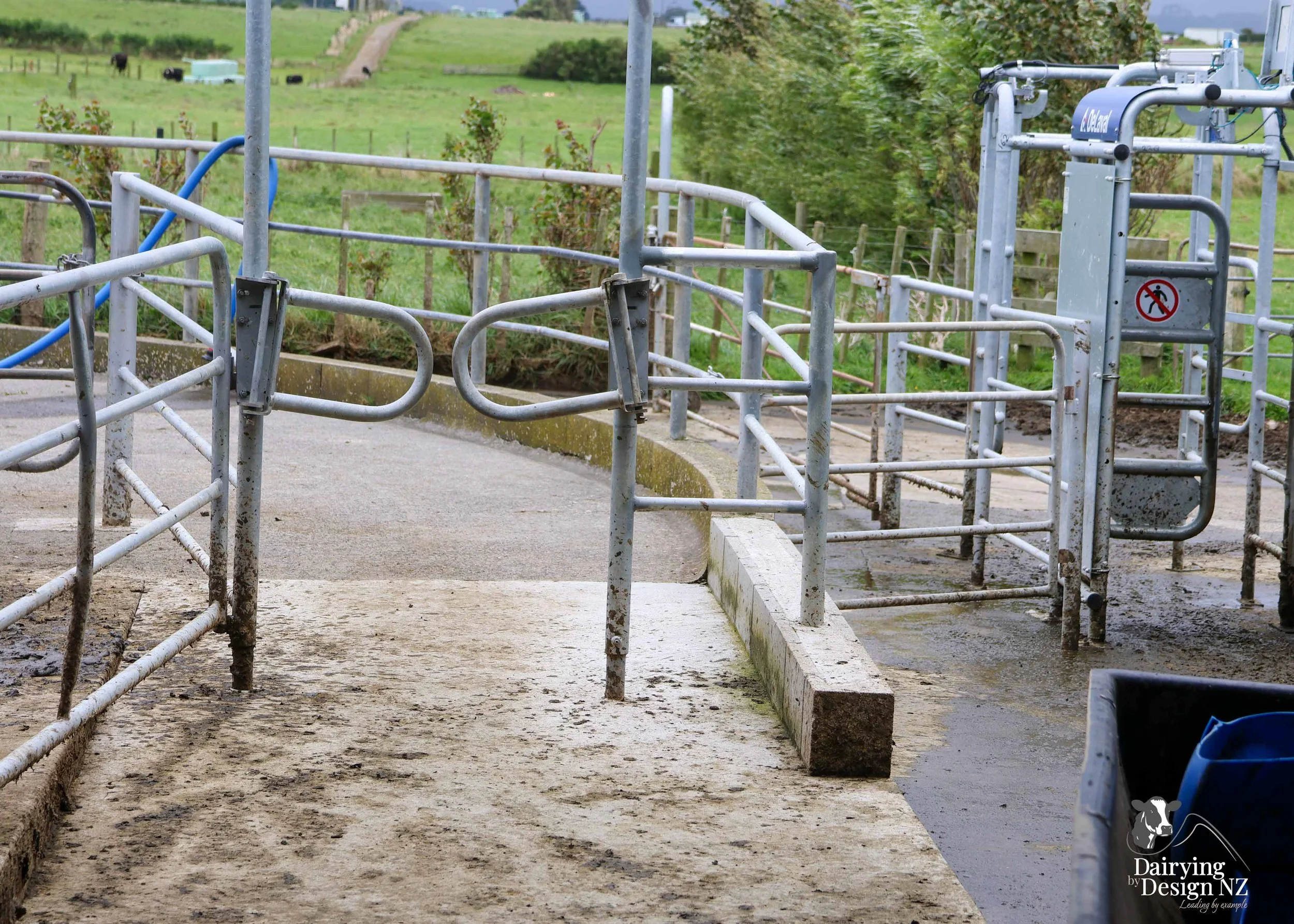 Taranaki robotic rotary dairy shed development designed for efficient milking and cow flow built by Bruce Clifton Builder, Earthworks by Hilltop Contracting, Robotics by Automation Services, project for Peter Arnold. 