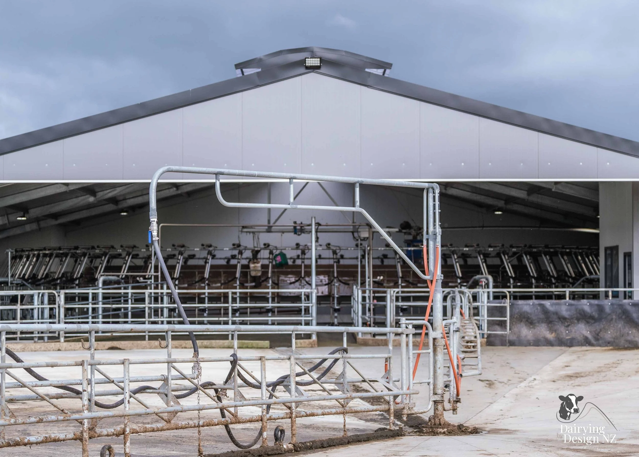  Waikato rotary dairy shed development designed for efficient milking and cow flow built by Don Chapman Waikato Ltd, featuring a Moa Rotary Platform, yard work by Leask Engineering, Earthworks by Waihou Excavation, Electrical work by Electronz, Efflu
