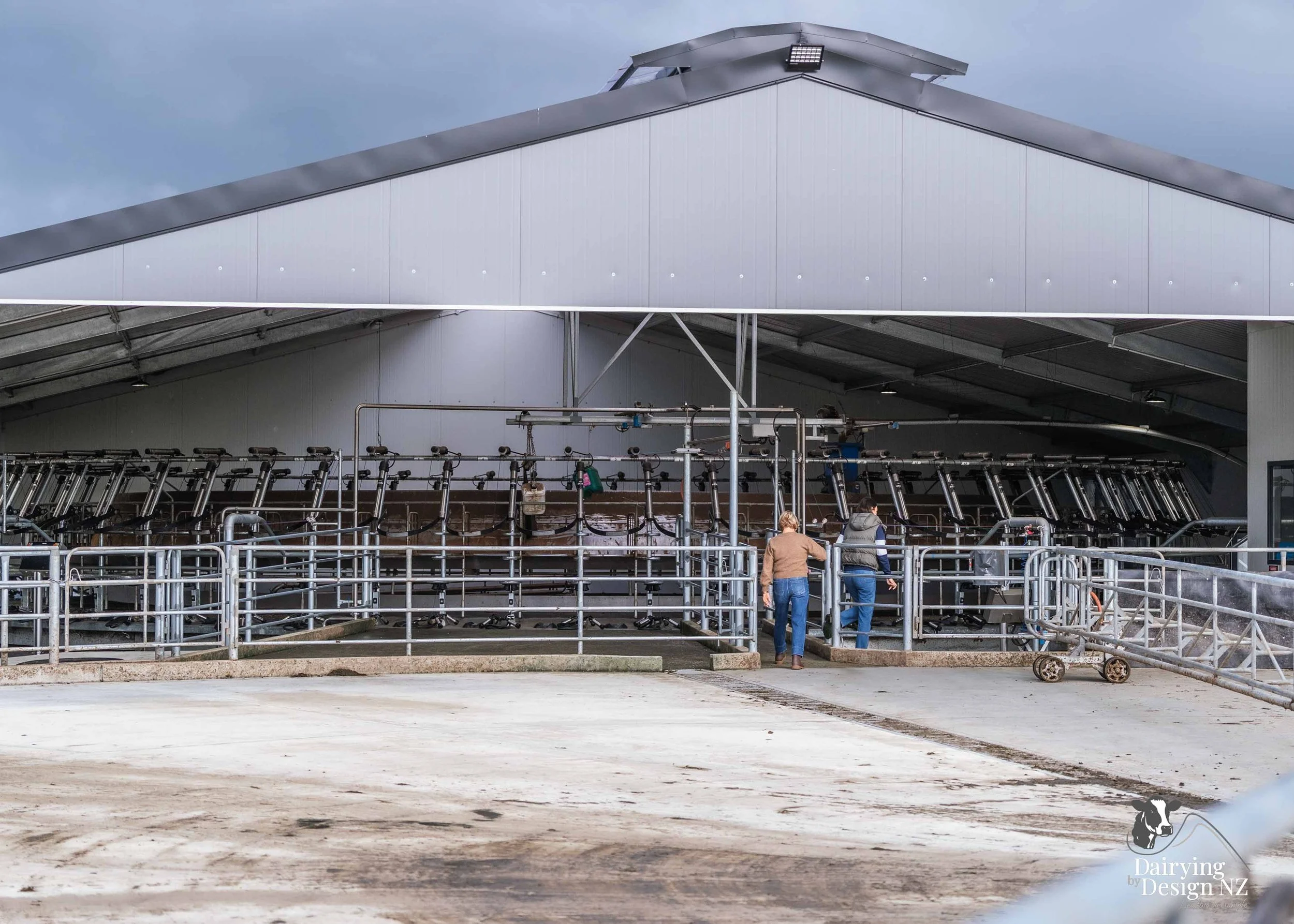  Waikato rotary dairy shed development designed for efficient milking and cow flow built by Don Chapman Waikato Ltd, featuring a Moa Rotary Platform, yard work by Leask Engineering, Earthworks by Waihou Excavation, Electrical work by Electronz, Efflu