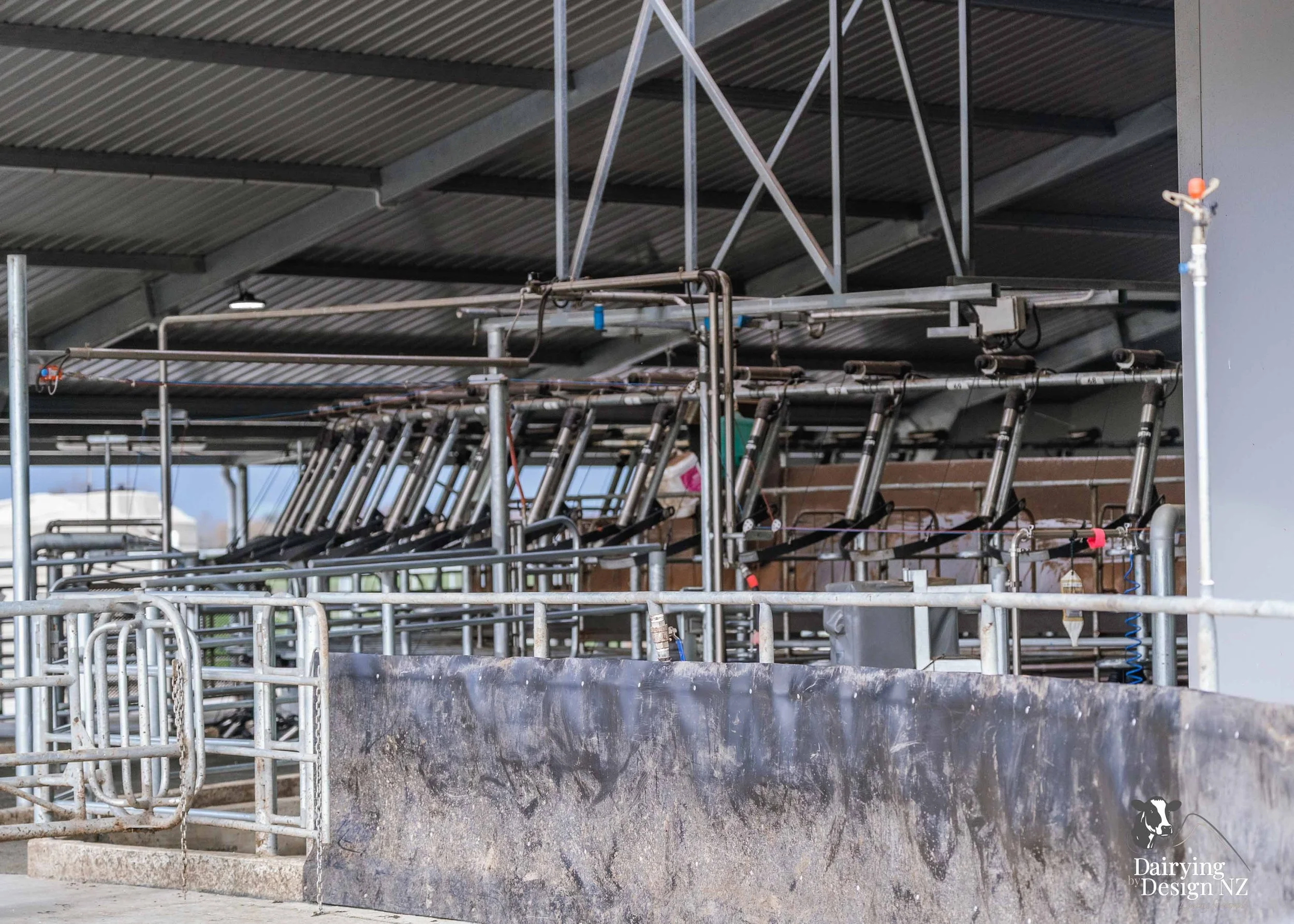  Waikato rotary dairy shed development designed for efficient milking and cow flow built by Don Chapman Waikato Ltd, featuring a Moa Rotary Platform, yard work by Leask Engineering, Earthworks by Waihou Excavation, Electrical work by Electronz, Efflu