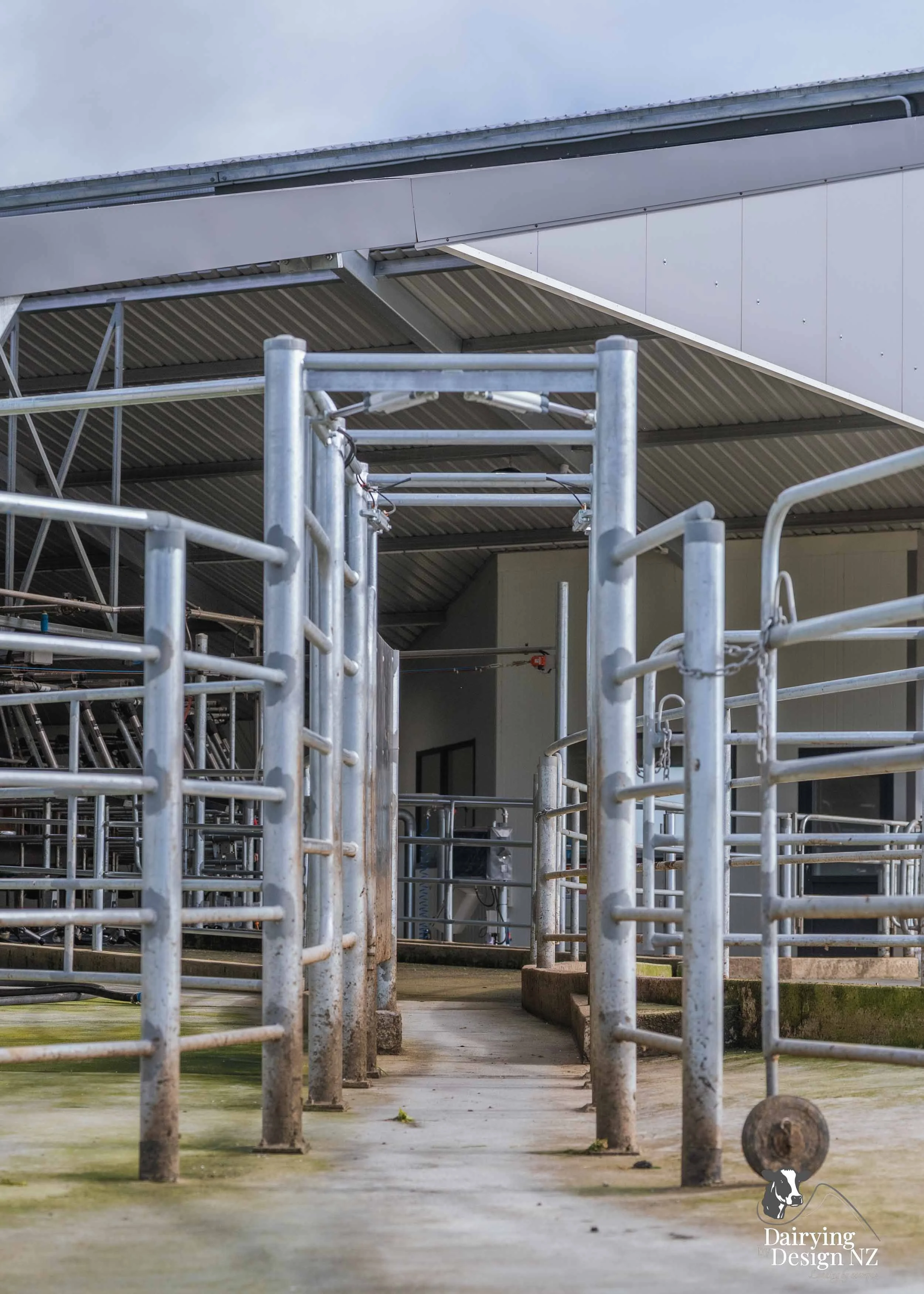  Waikato rotary dairy shed development designed for efficient milking and cow flow built by Don Chapman Waikato Ltd, featuring a Moa Rotary Platform, yard work by Leask Engineering, Earthworks by Waihou Excavation, Electrical work by Electronz, Efflu