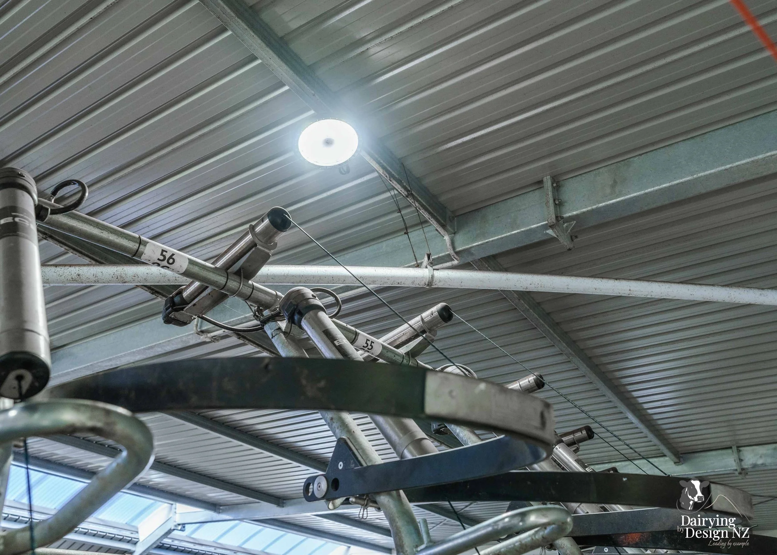  Waikato rotary dairy shed development designed for efficient milking and cow flow built by Don Chapman Waikato Ltd, featuring a Moa Rotary Platform, yard work by Leask Engineering, Earthworks by Waihou Excavation, Electrical work by Electronz, Efflu