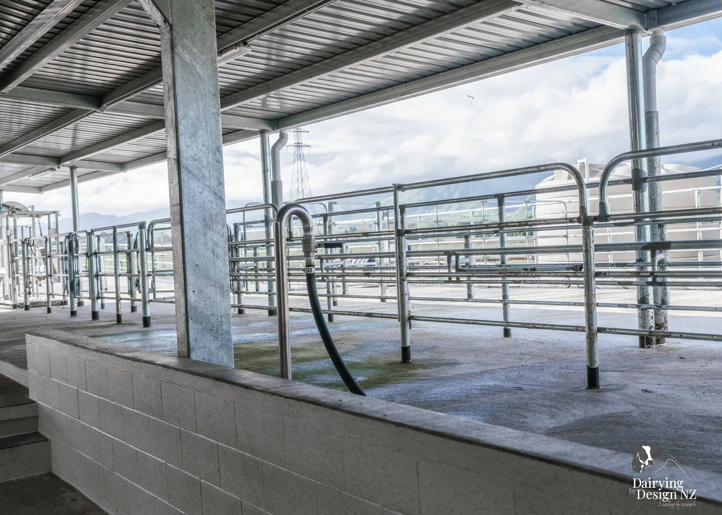  Waikato rotary dairy shed development designed for efficient milking and cow flow built by Don Chapman Waikato Ltd, featuring a Moa Rotary Platform, yard work by Leask Engineering, Earthworks by Waihou Excavation, Electrical work by Electronz, Efflu