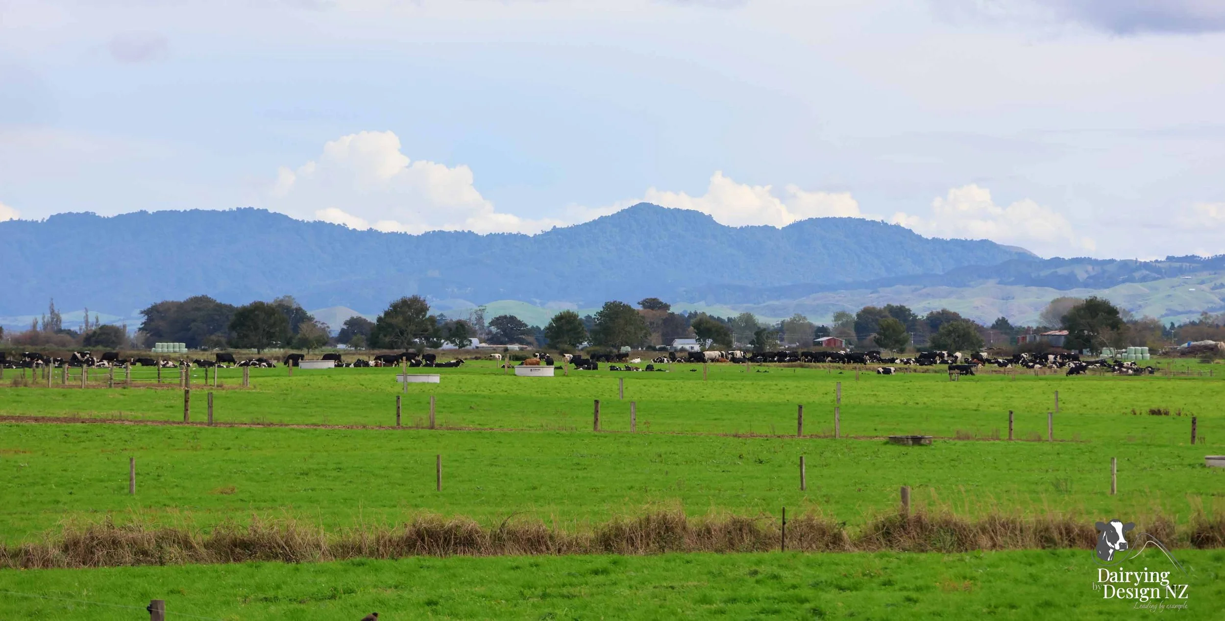  Waikato rotary dairy shed development designed for efficient milking and cow flow built by Don Chapman Waikato Ltd, featuring a Moa Rotary Platform, yard work by Leask Engineering, Earthworks by Waihou Excavation, Electrical work by Electronz, Efflu