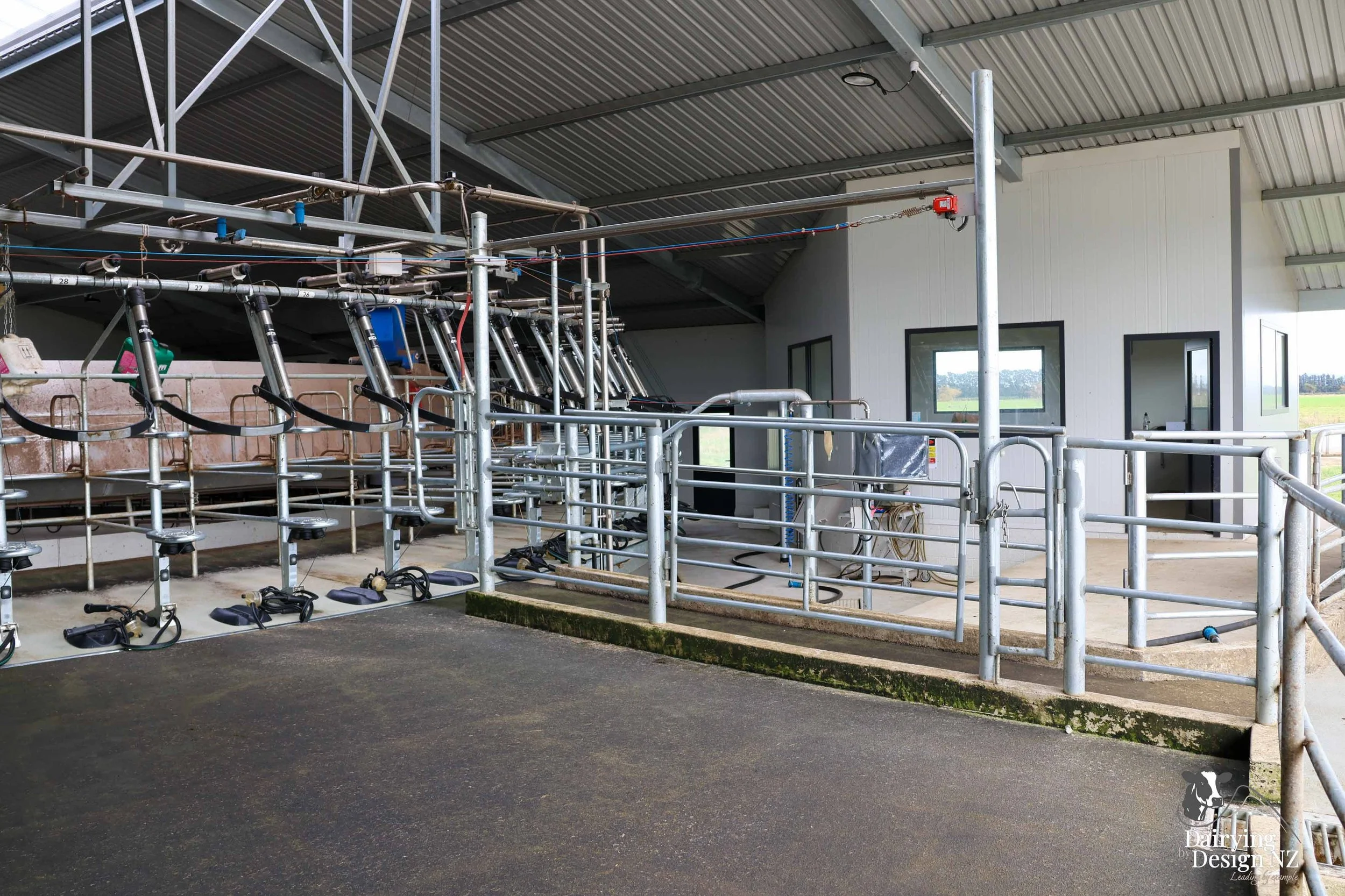  Waikato rotary dairy shed development designed for efficient milking and cow flow built by Don Chapman Waikato Ltd, featuring a Moa Rotary Platform, yard work by Leask Engineering, Earthworks by Waihou Excavation, Electrical work by Electronz, Efflu