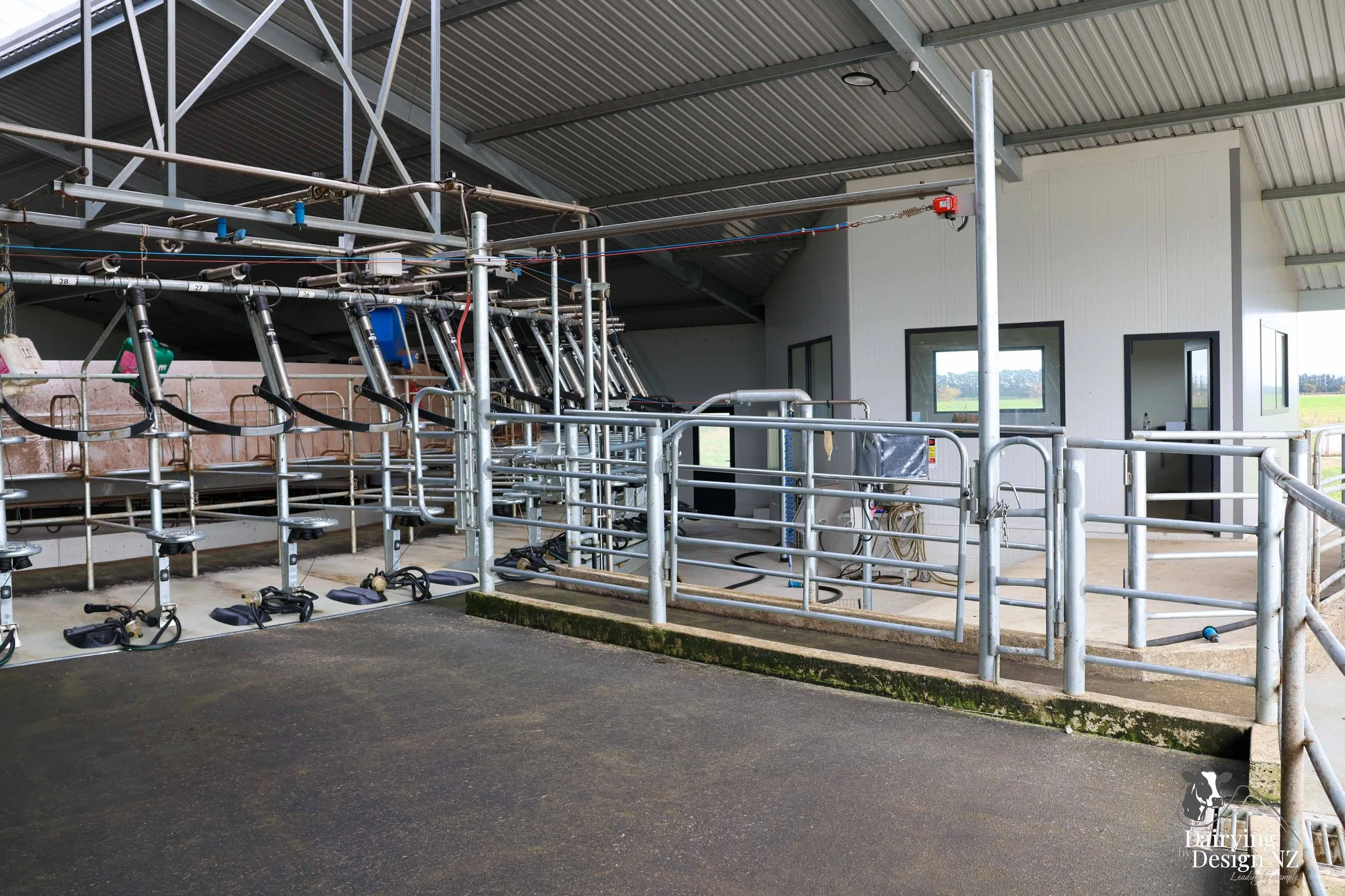  Waikato rotary dairy shed development designed for efficient milking and cow flow built by Don Chapman Waikato Ltd, featuring a Moa Rotary Platform, yard work by Leask Engineering, Earthworks by Waihou Excavation, Electrical work by Electronz, Efflu
