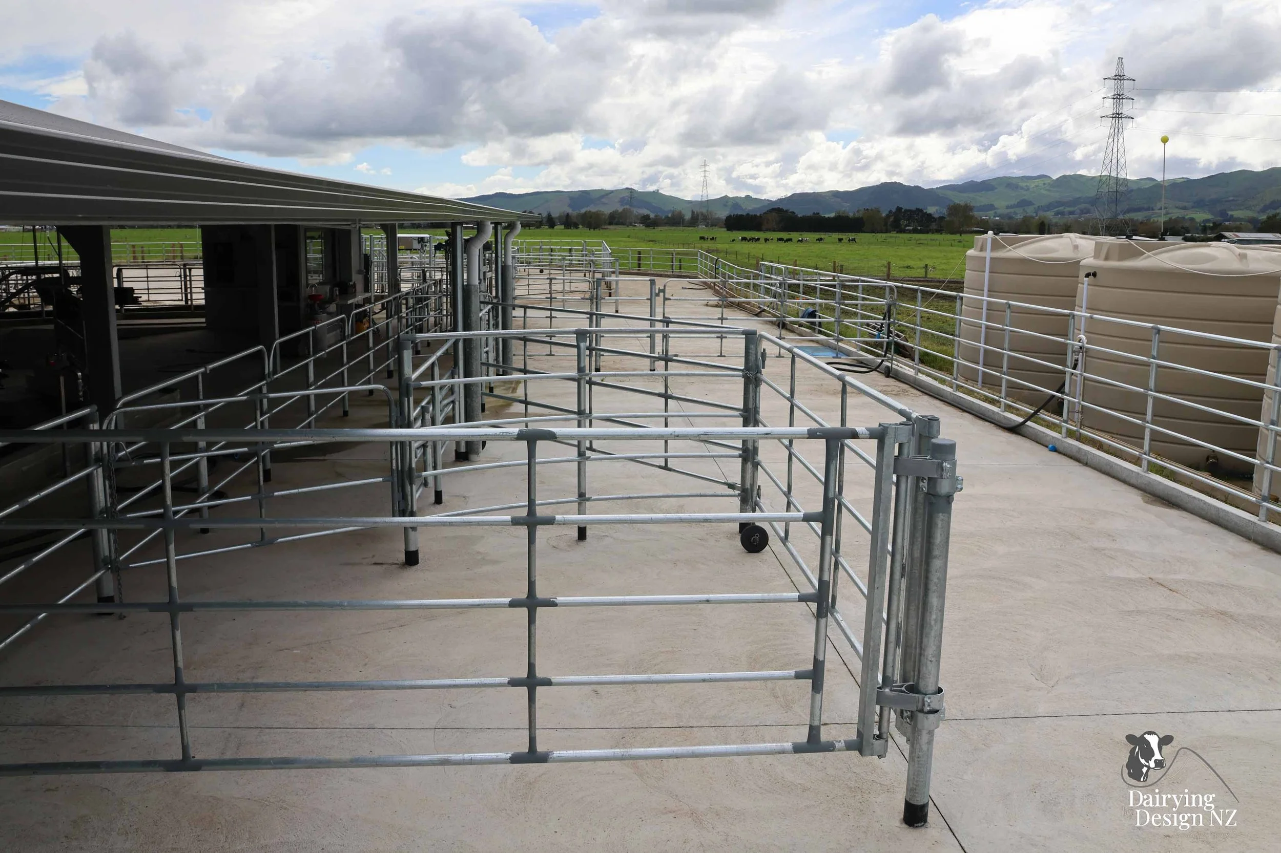  Waikato rotary dairy shed development designed for efficient milking and cow flow built by Don Chapman Waikato Ltd, featuring a Moa Rotary Platform, yard work by Leask Engineering, Earthworks by Waihou Excavation, Electrical work by Electronz, Efflu