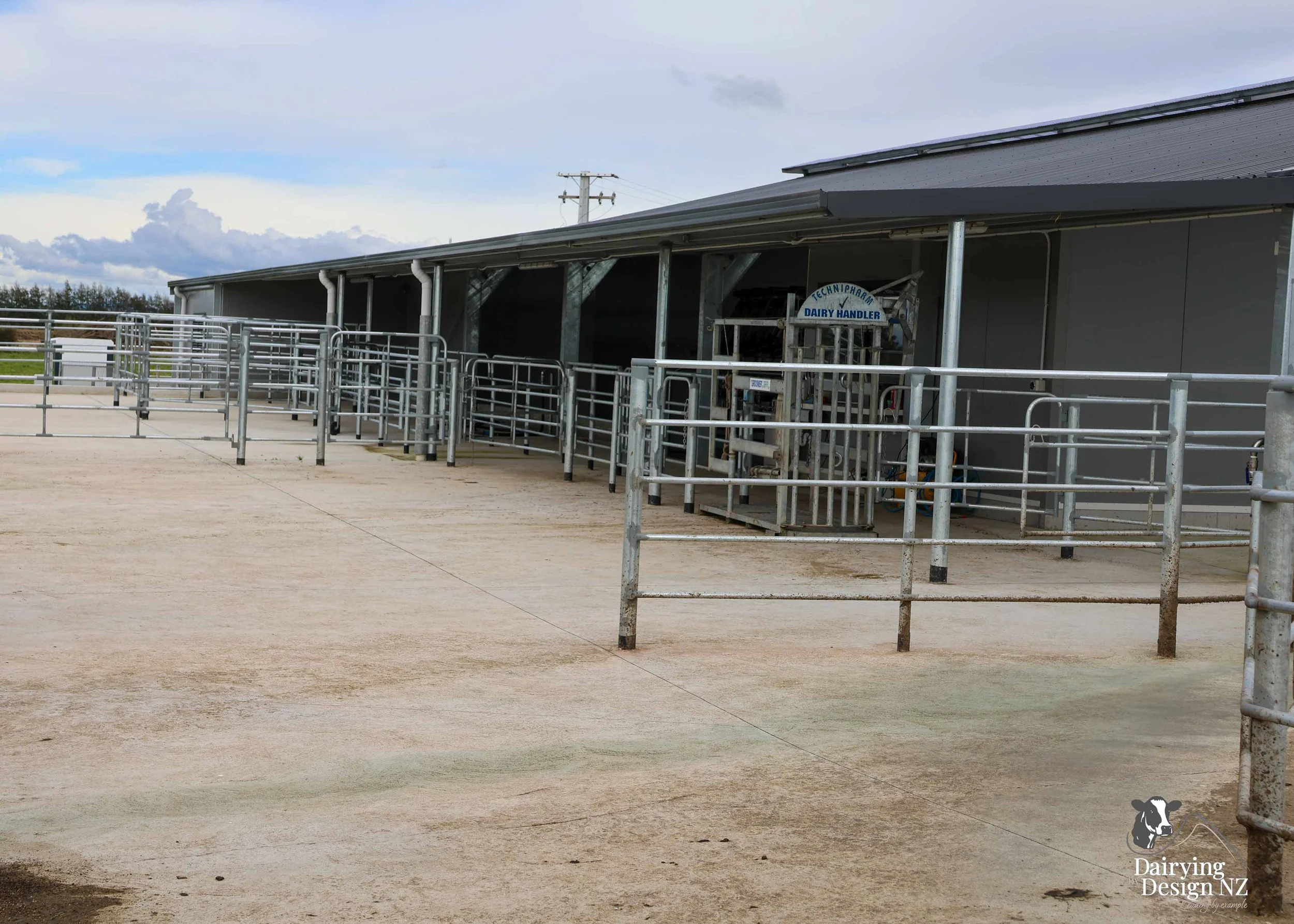 Waikato rotary dairy shed development designed for efficient milking and cow flow built by Don Chapman Waikato Ltd, featuring a Moa Rotary Platform, yard work by Leask Engineering, Earthworks by Waihou Excavation, Electrical work by Electronz, Efflu