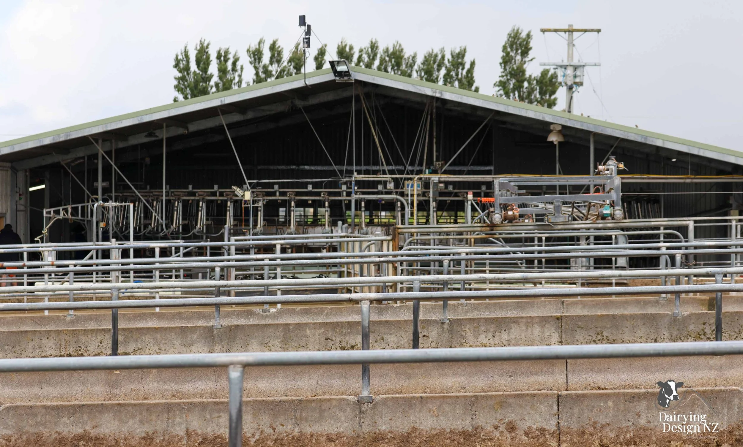  Dannevirke composting cow barn built for cow health, by Aztech Buildings, project for Waka Dairies. 