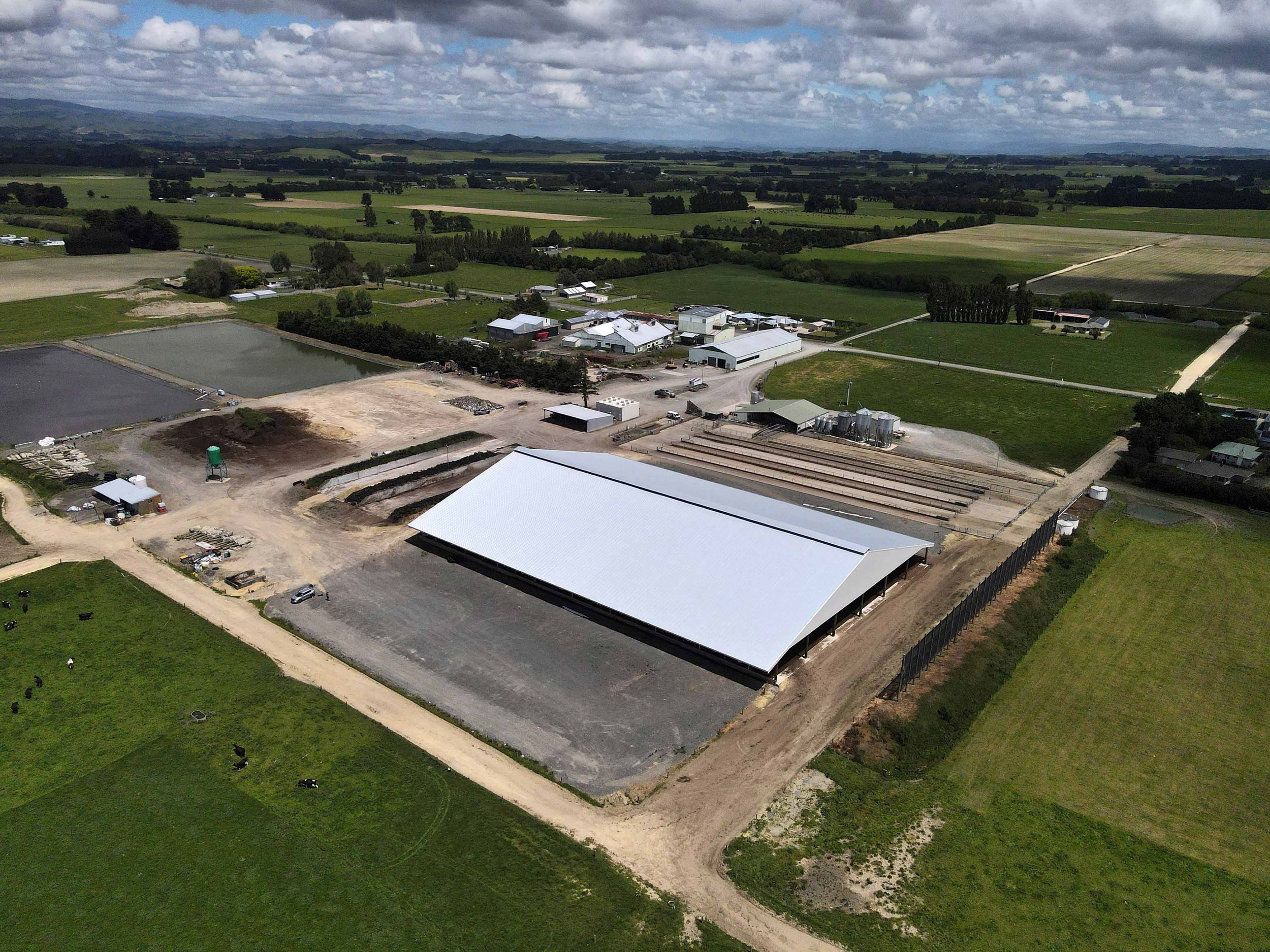  Dannevirke composting cow barn built for cow health, by Aztech Buildings, project for Waka Dairies. 