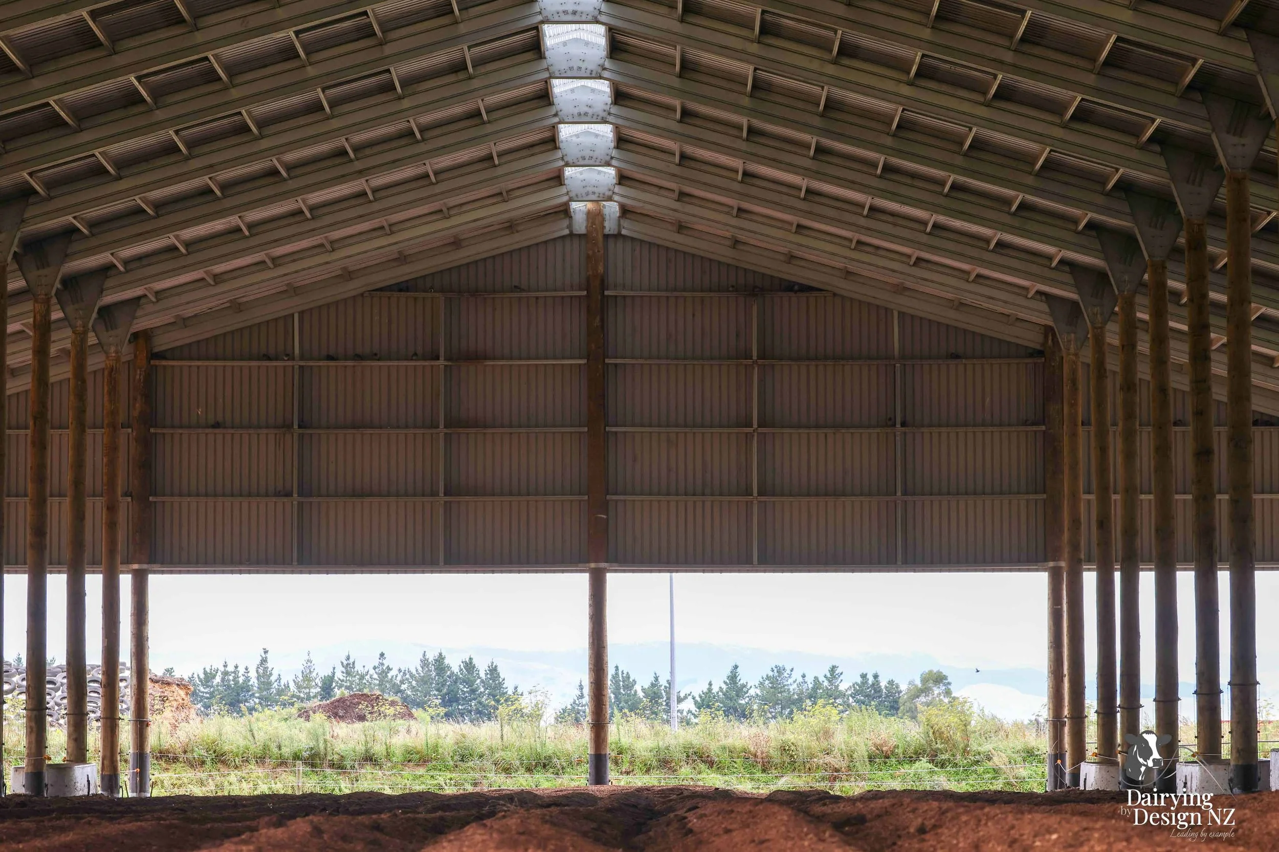  Dannevirke composting cow barn built for cow health, by Aztech Buildings, project for Waka Dairies. 