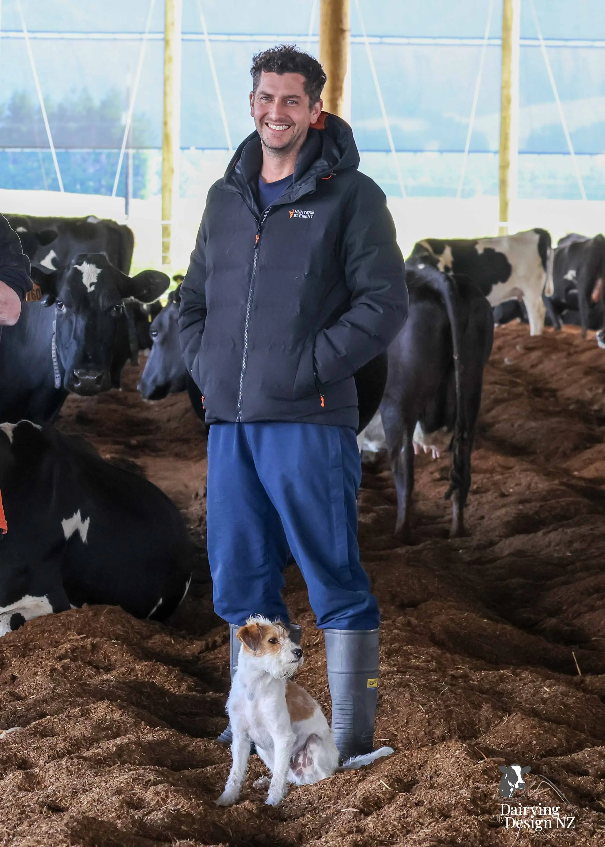  Dannevirke composting cow barn built for cow health, by Aztech Buildings, project for Waka Dairies. 