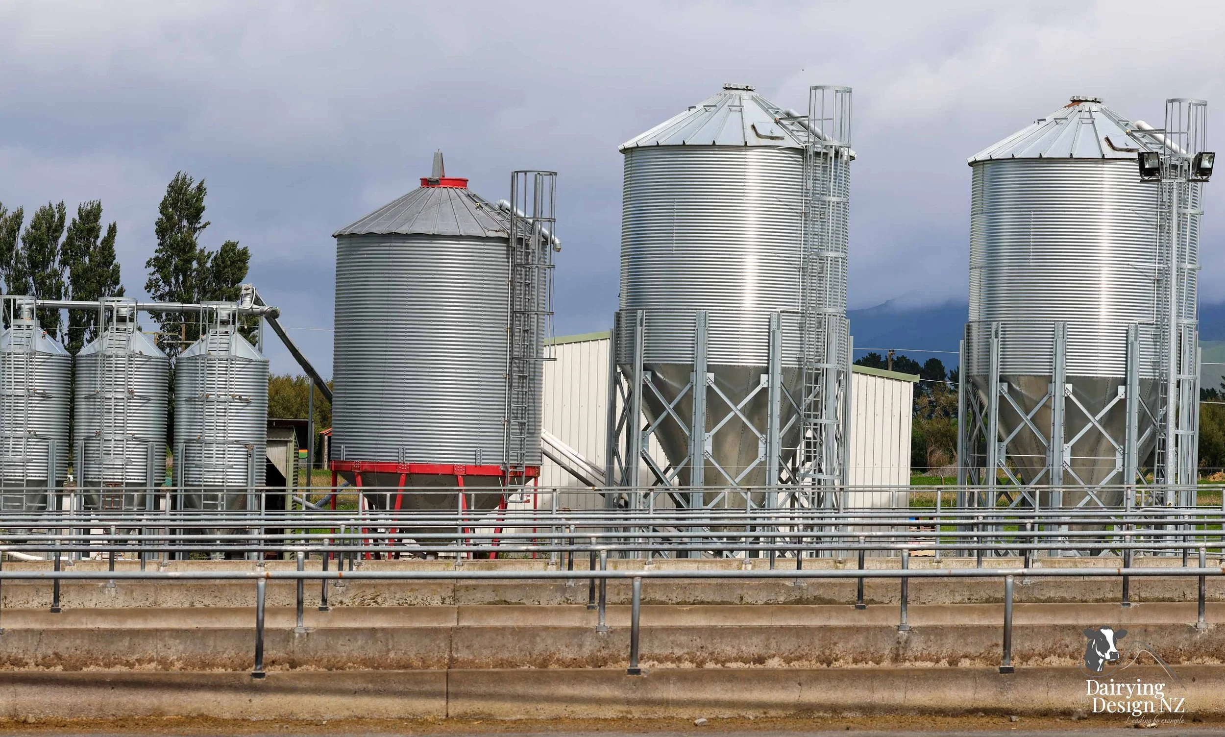  Dannevirke composting cow barn built for cow health, by Aztech Buildings, project for Waka Dairies. 