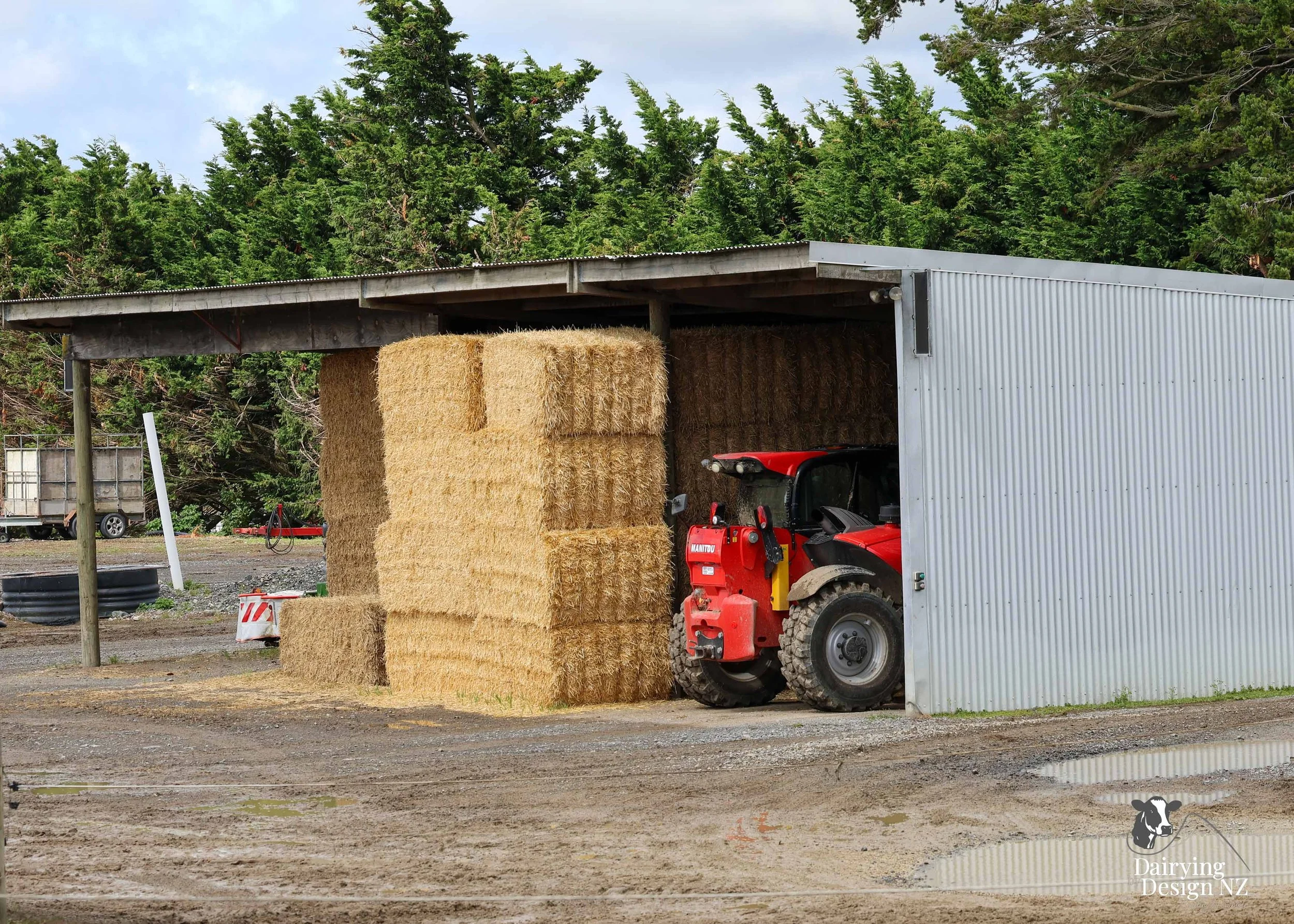  Dannevirke composting cow barn built for cow health, by Aztech Buildings, project for Waka Dairies. 