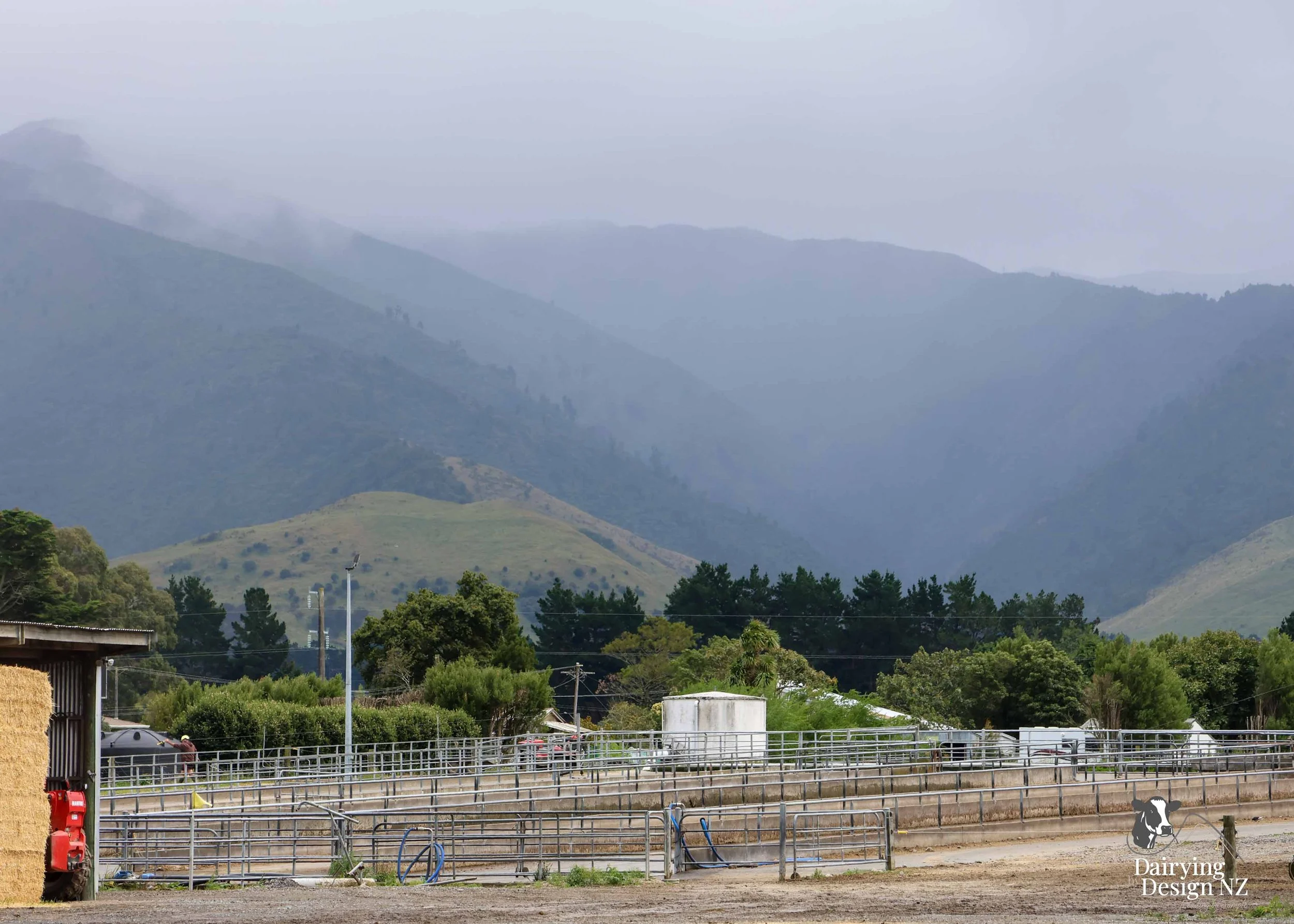  Dannevirke composting cow barn built for cow health, by Aztech Buildings, project for Waka Dairies. 