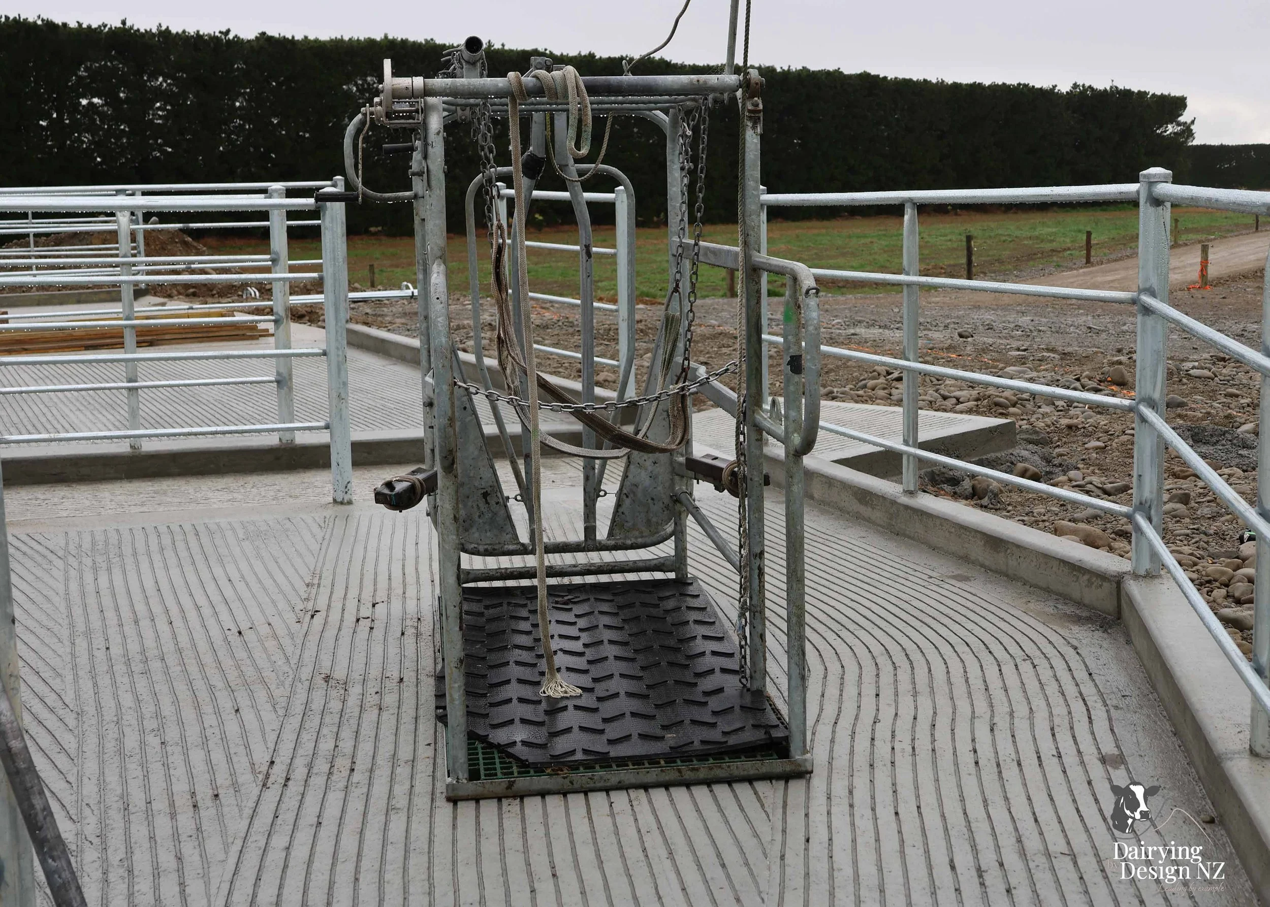  Canterbury rotary dairy shed development designed for efficient milking and cow flow built by Rural Building Solutions, featuring a Donald Engineering Rotary Platform, Earthworks by Densem Contracting 2010 Ltd, Refrigeration by Dairycool, Feed silos