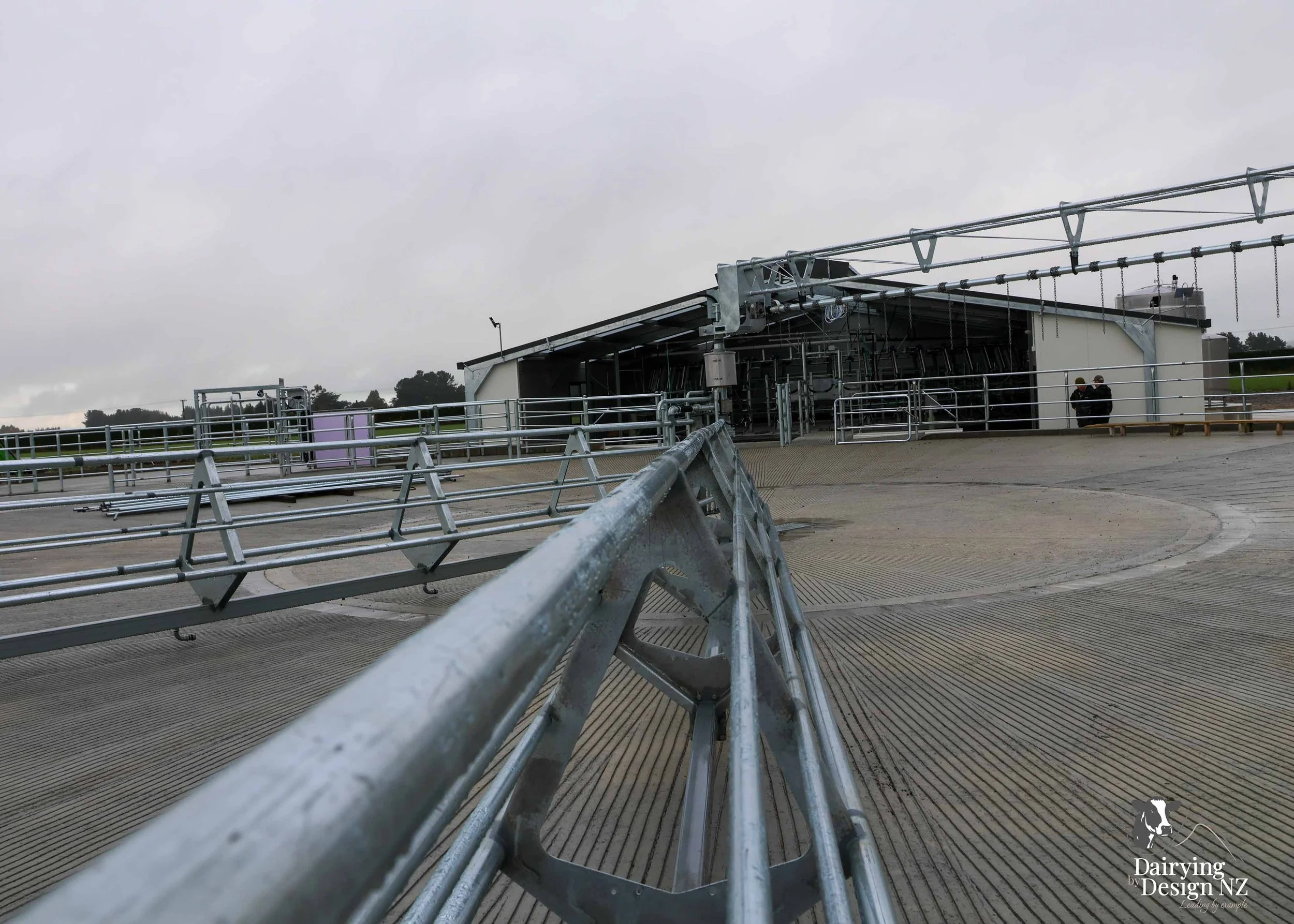  Canterbury rotary dairy shed development designed for efficient milking and cow flow built by Rural Building Solutions, featuring a Donald Engineering Rotary Platform, Earthworks by Densem Contracting 2010 Ltd, Refrigeration by Dairycool, Feed silos