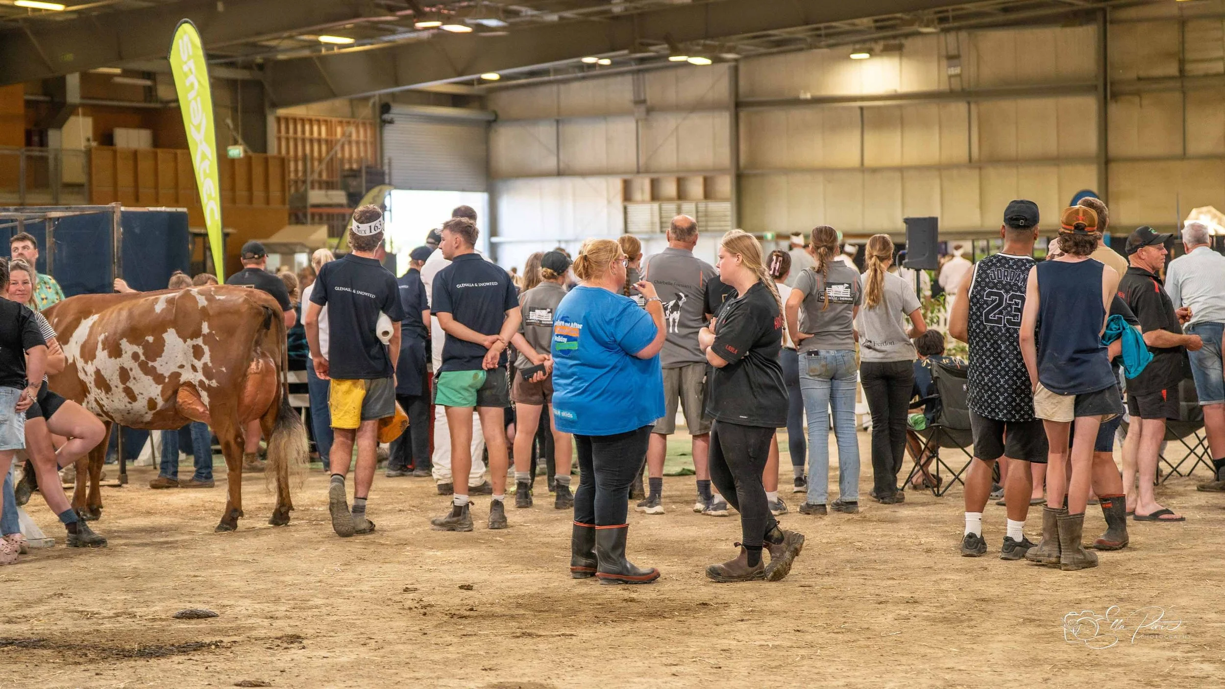 Crowd_NZDE2026.jpg