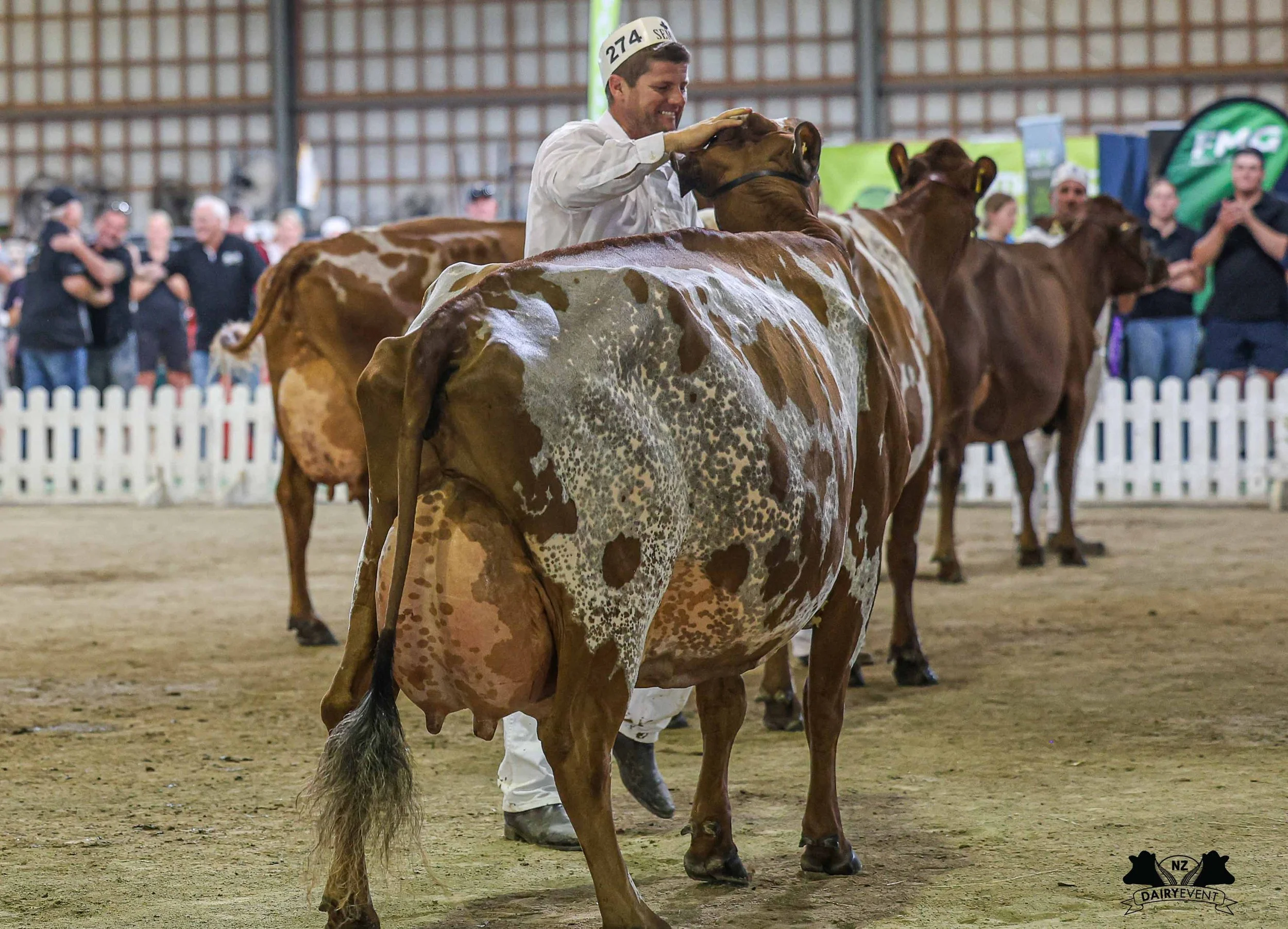NZDE 2026_Ayr Champion pat.jpg