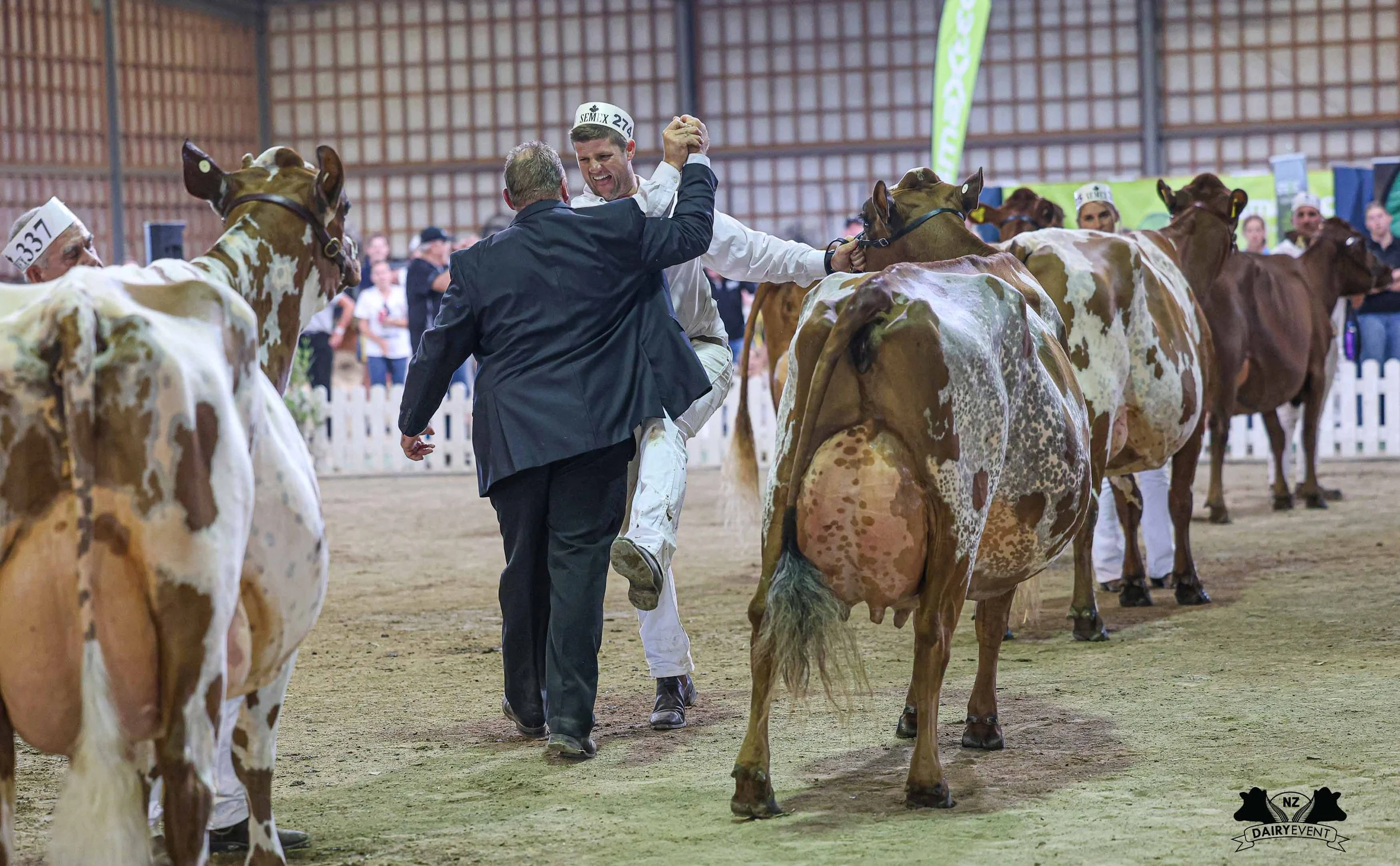 NZDE 2026_Ayr champion_slap.jpg