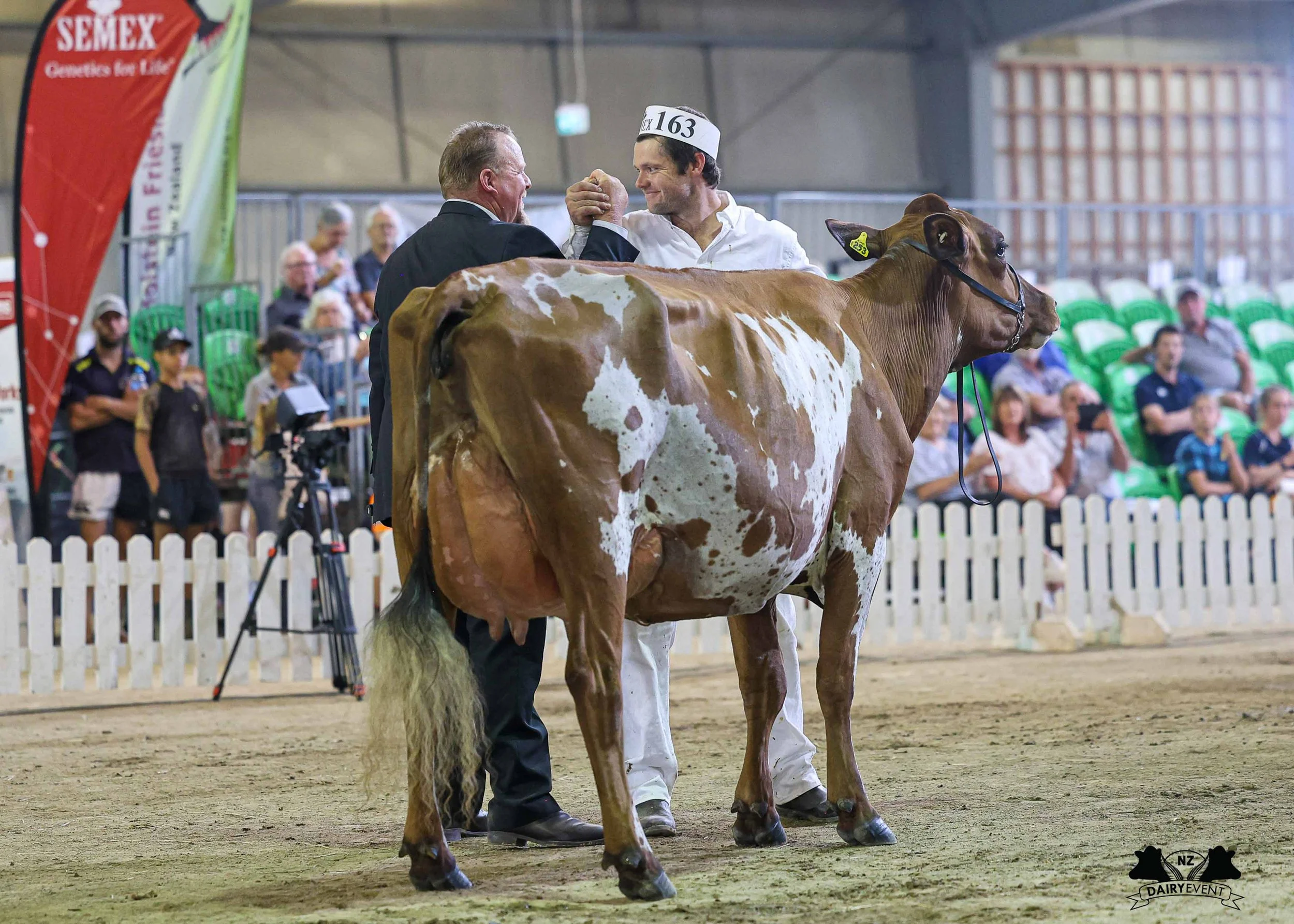 NZDE 2026_AYR INT CHAMPION_HAND .jpg